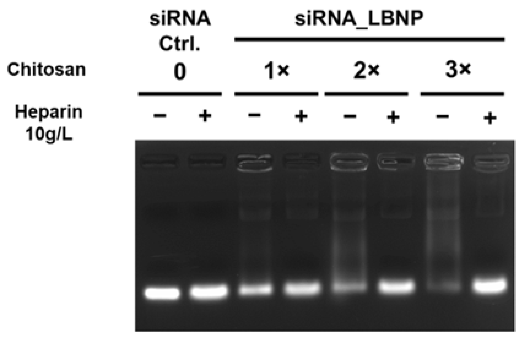 Pharmaceuticals 15 01452 g002 Pharmaceuticals 15 01452 g002