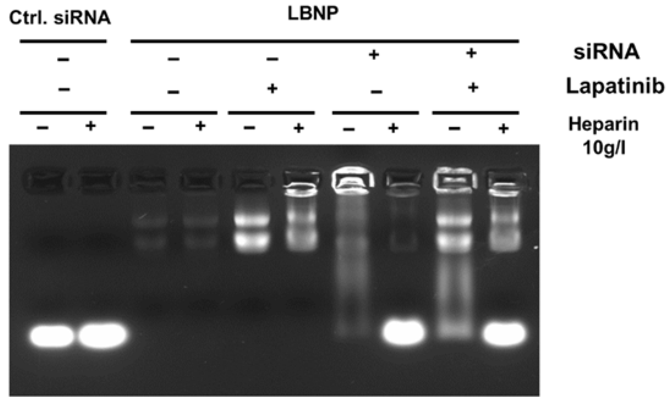 Pharmaceuticals 15 01452 g003 Pharmaceuticals 15 01452 g003