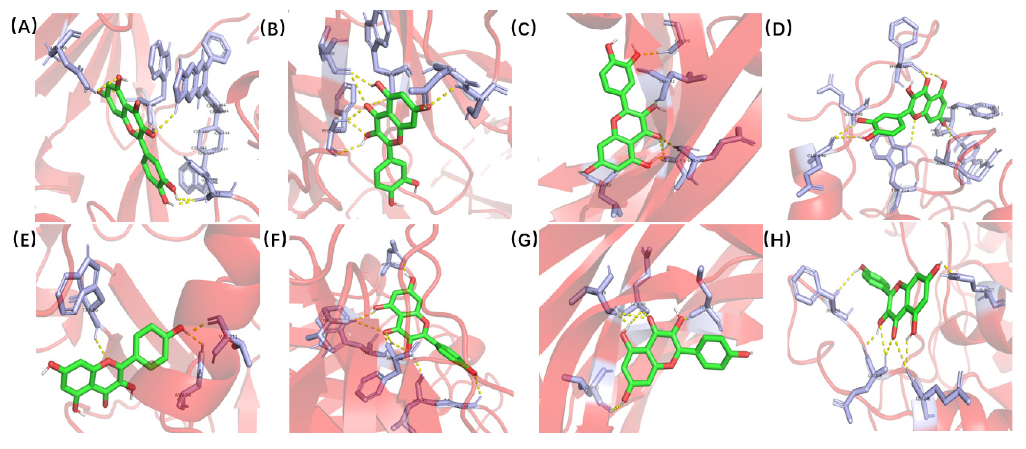 Pharmaceuticals 15 01457 g007