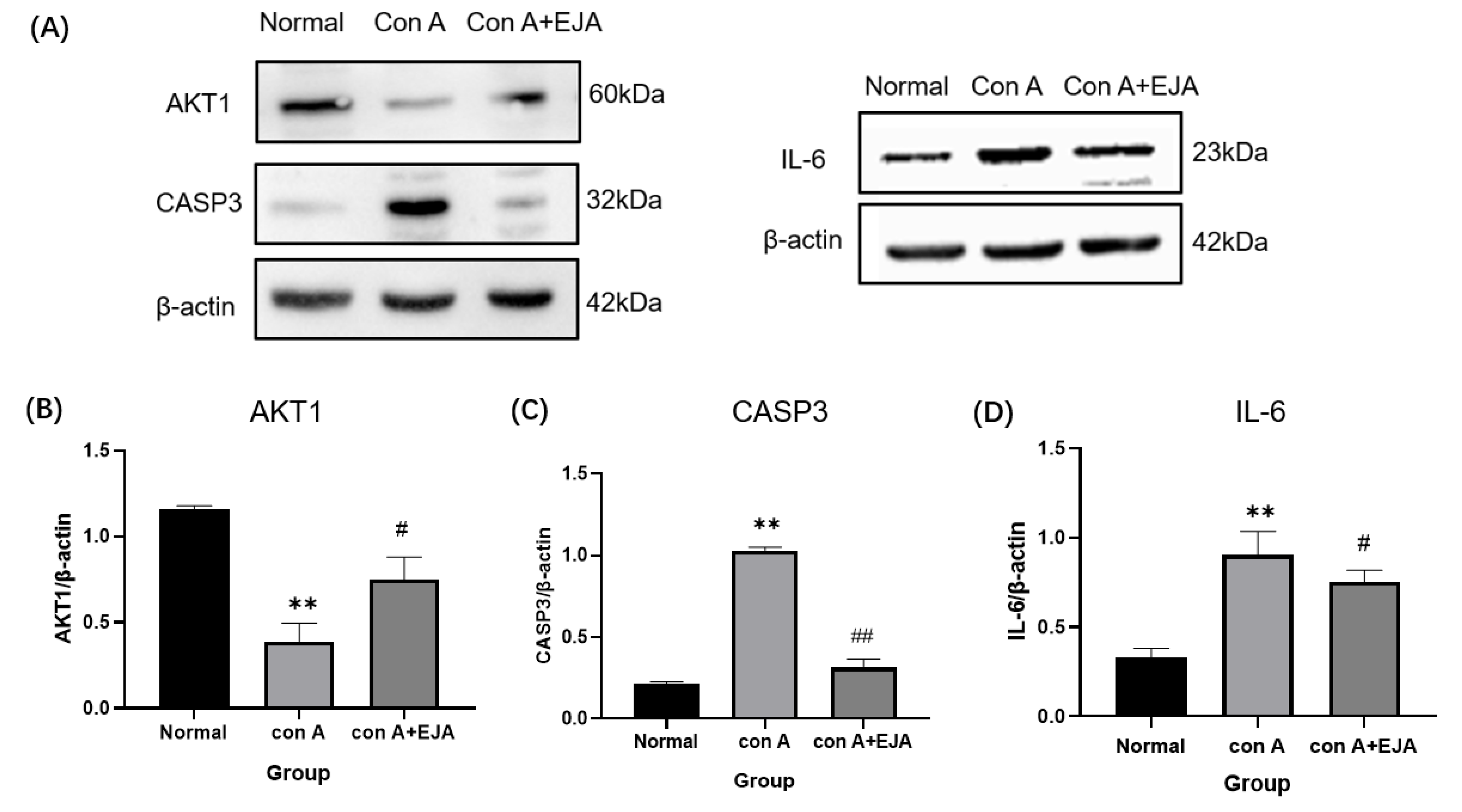 Pharmaceuticals 15 01457 g009
