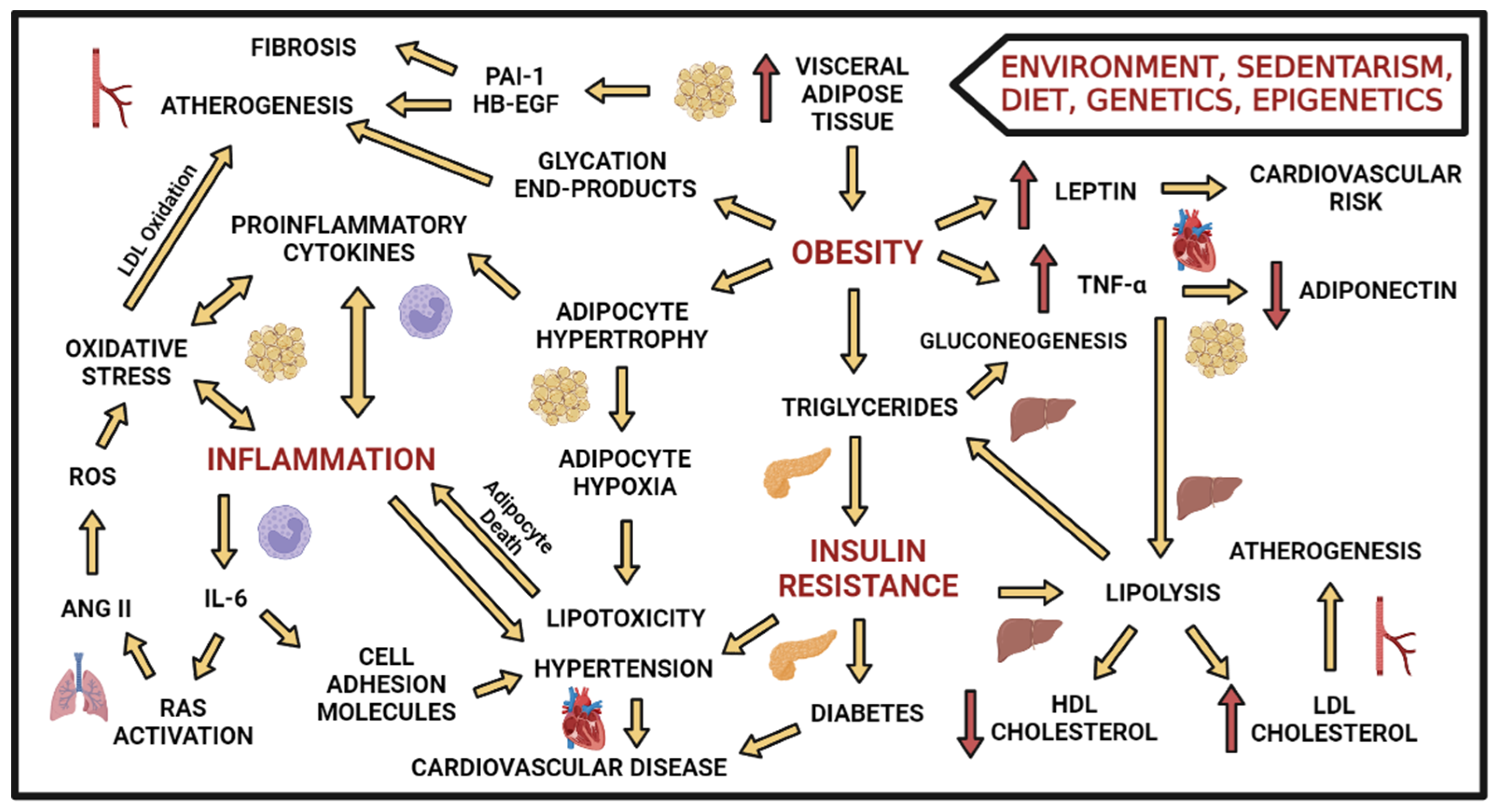 Pharmaceuticals 15 01461 g001