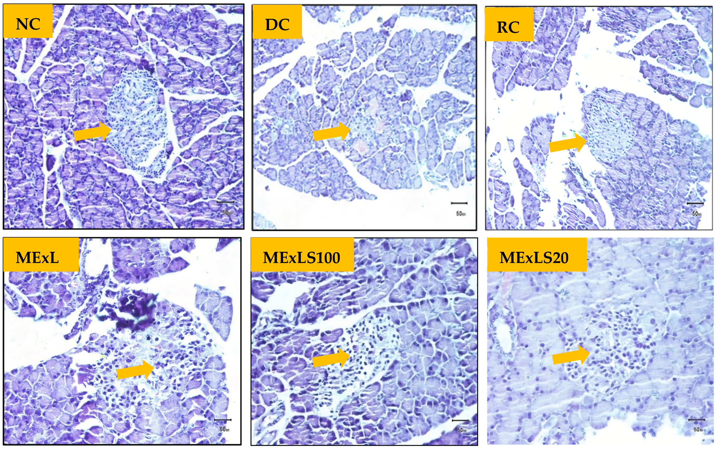 Pharmaceuticals 15 01466 g005 Pharmaceuticals 15 01466 g005