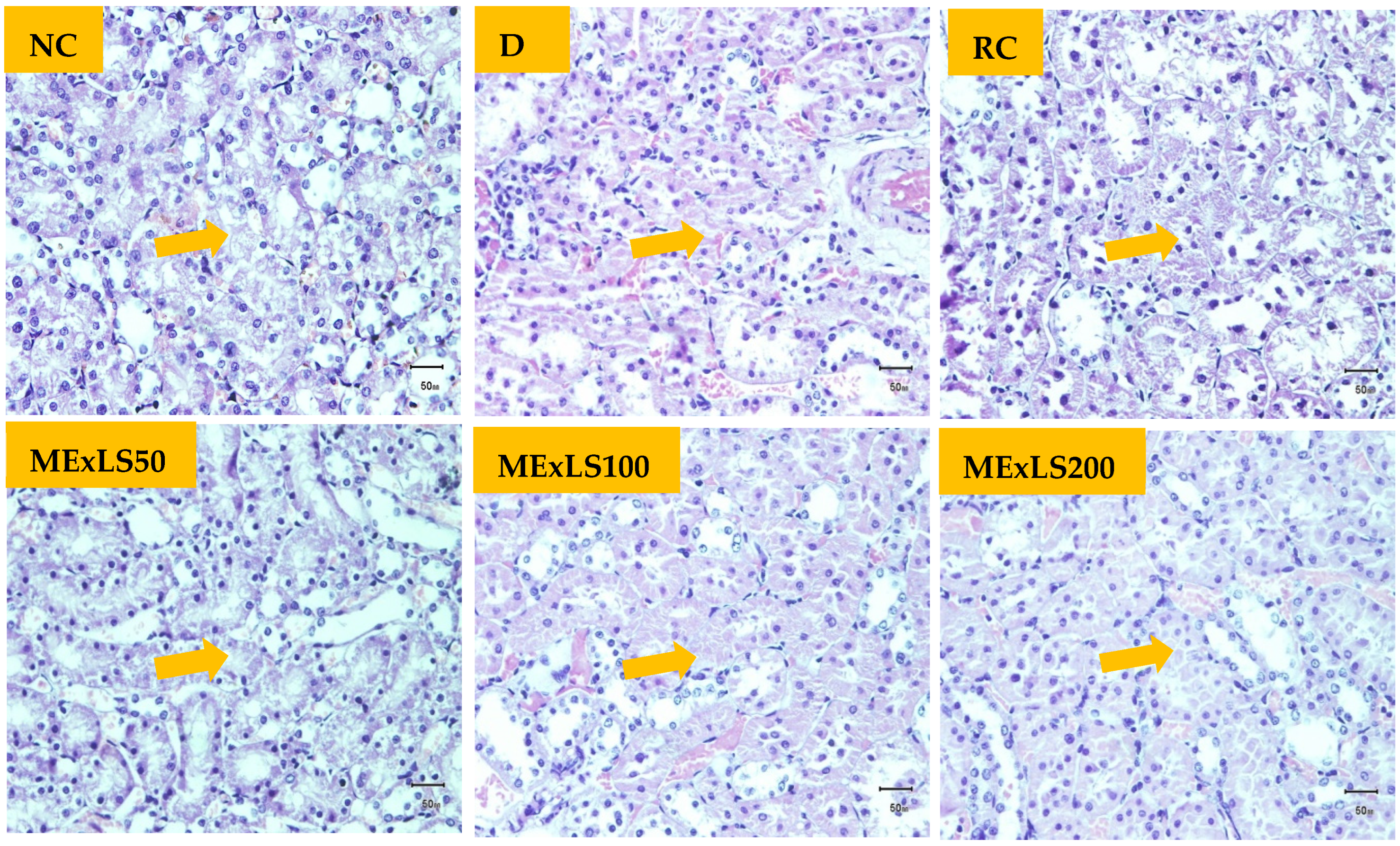 Pharmaceuticals 15 01466 g006 Pharmaceuticals 15 01466 g006