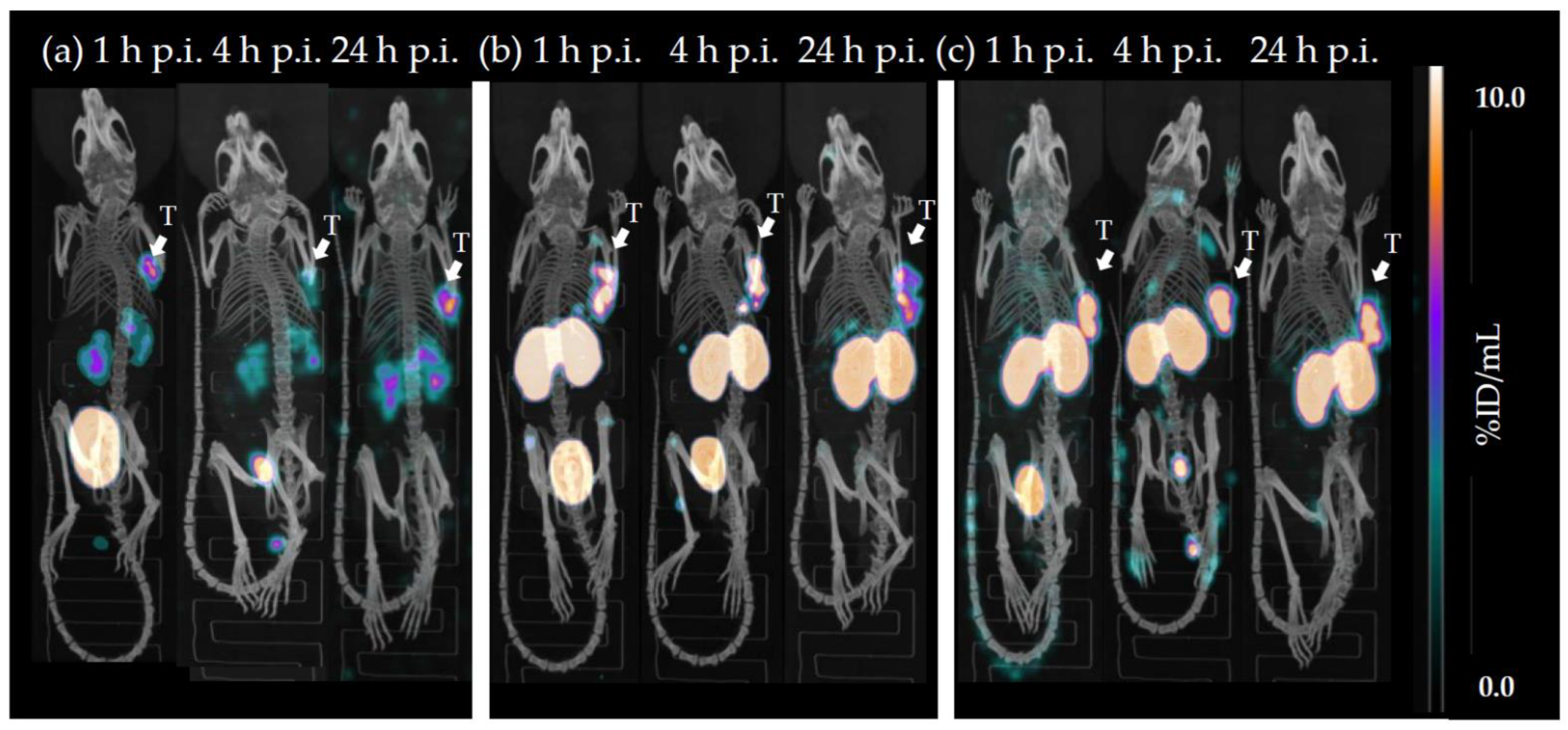 Pharmaceuticals 15 01467 g005 Pharmaceuticals 15 01467 g005