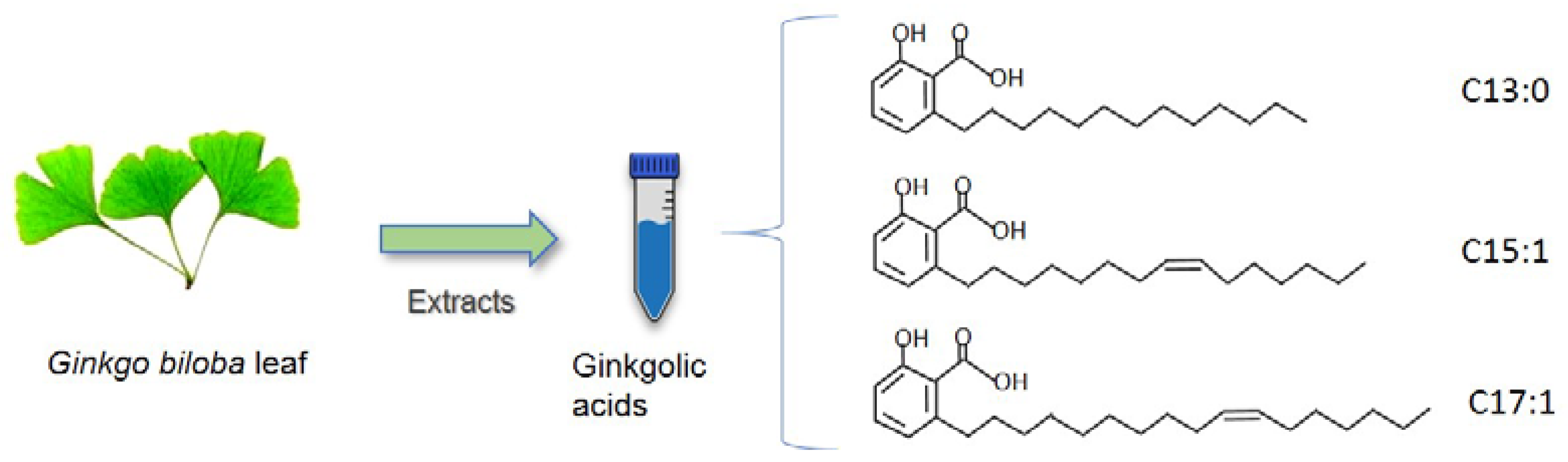 Pharmaceuticals 15 01469 g001