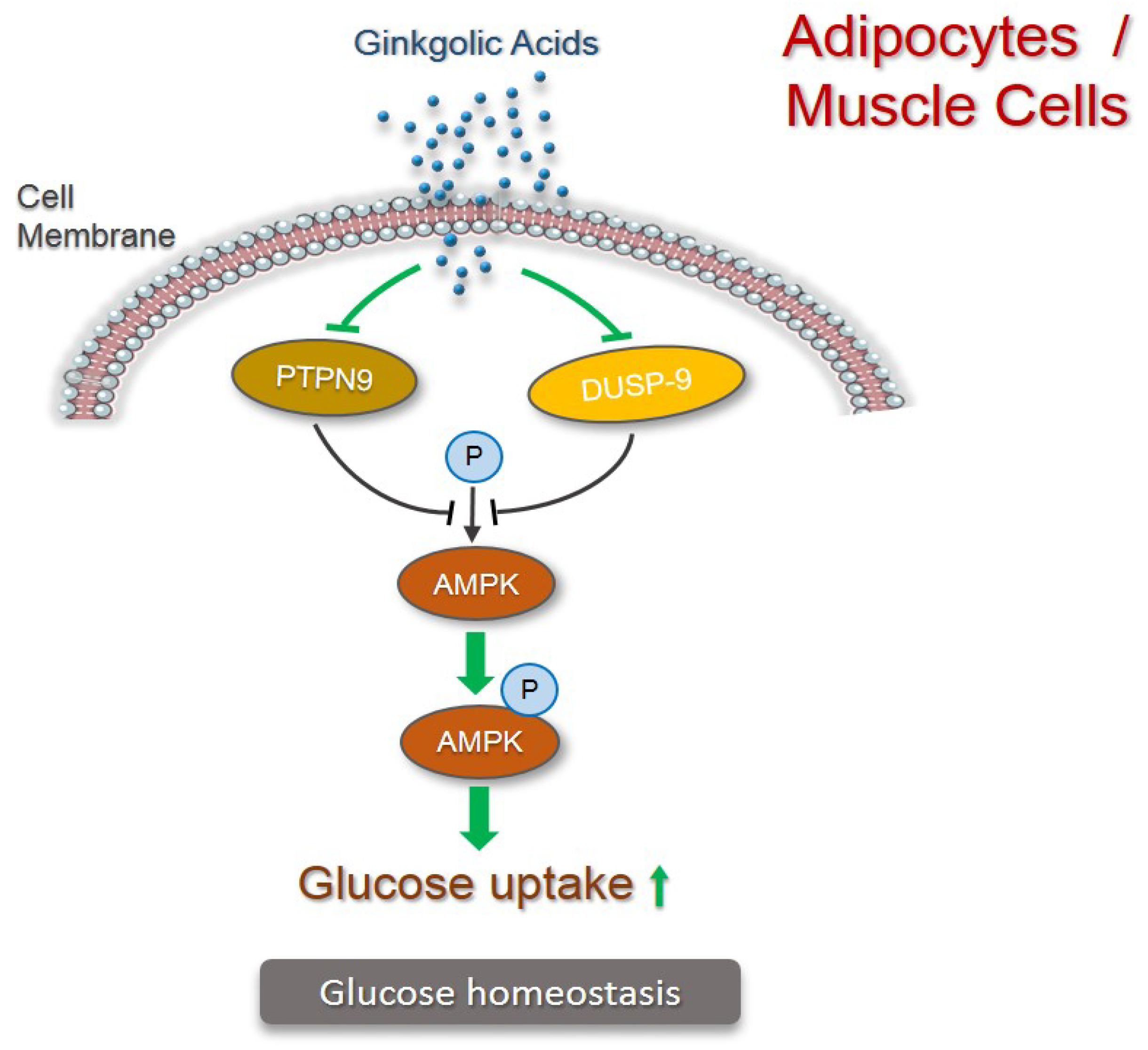 Pharmaceuticals 15 01469 g002