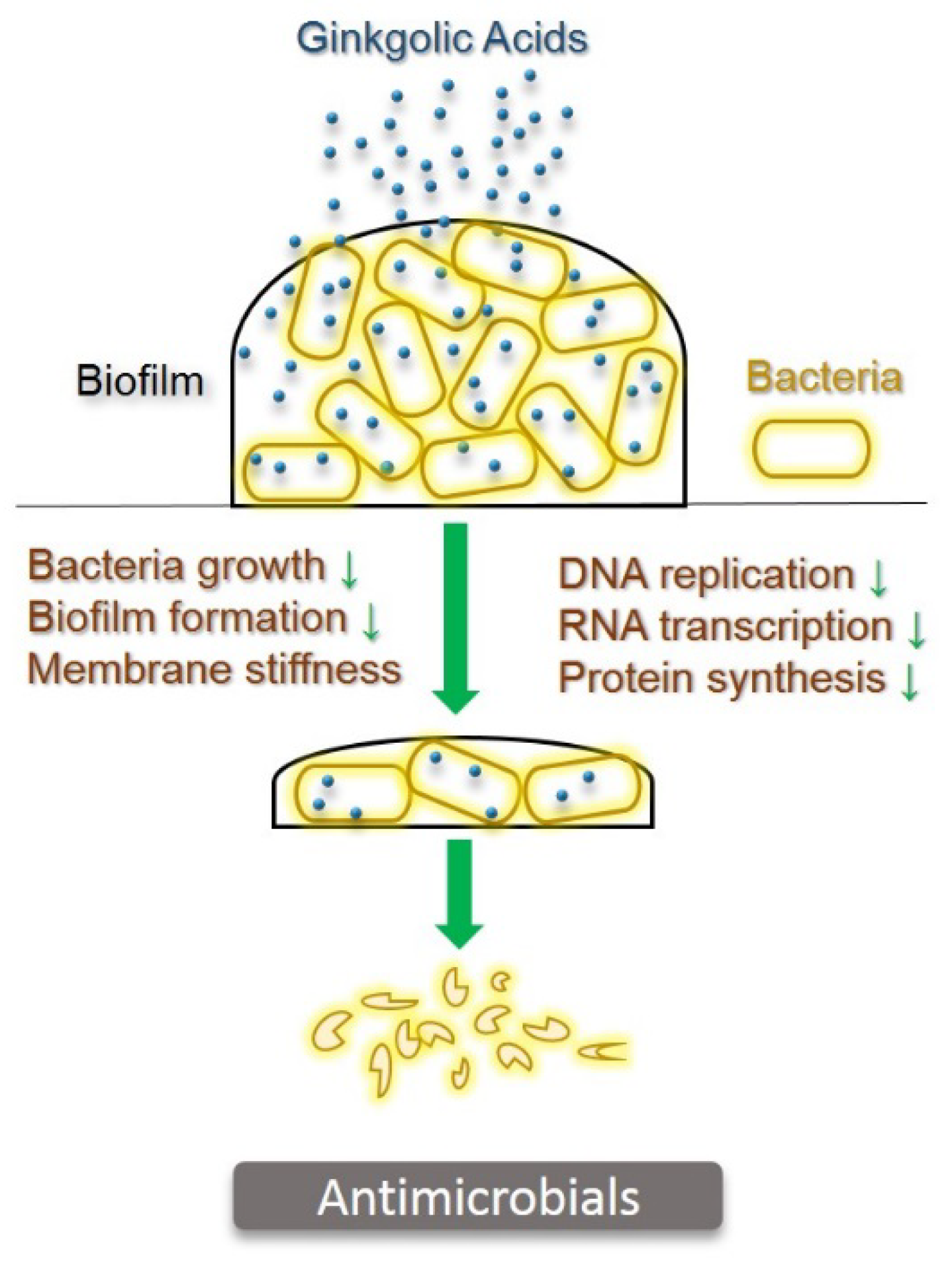 Pharmaceuticals 15 01469 g003