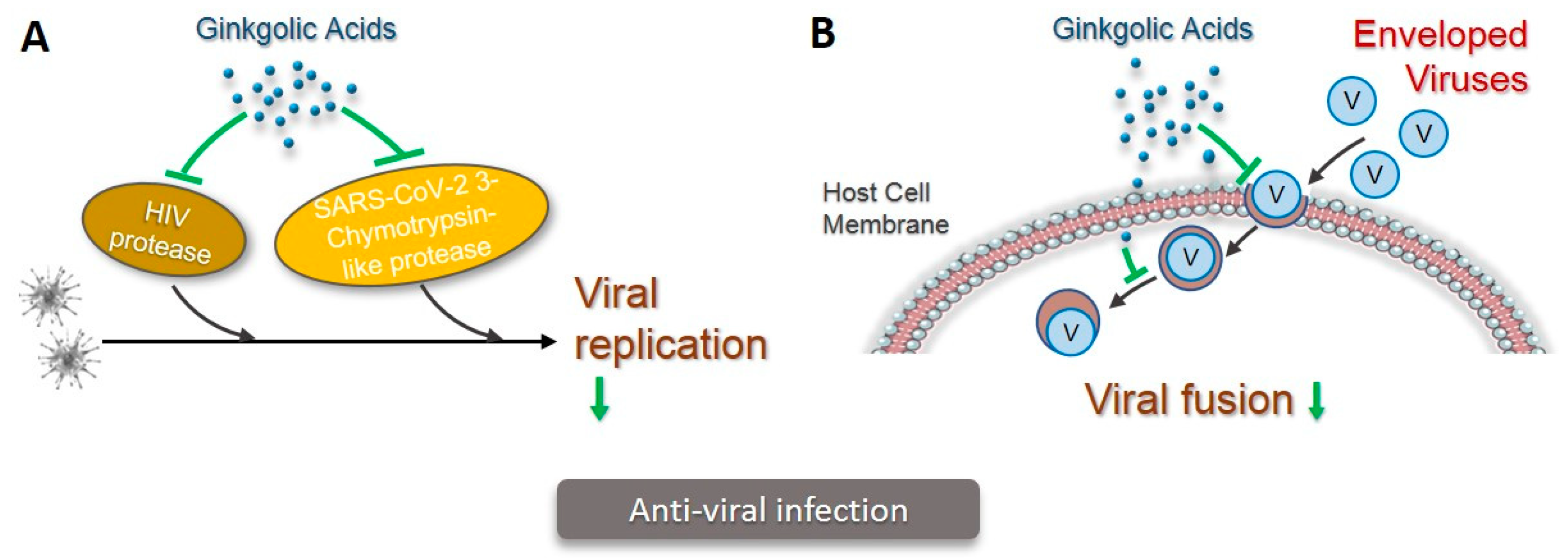 Pharmaceuticals 15 01469 g004