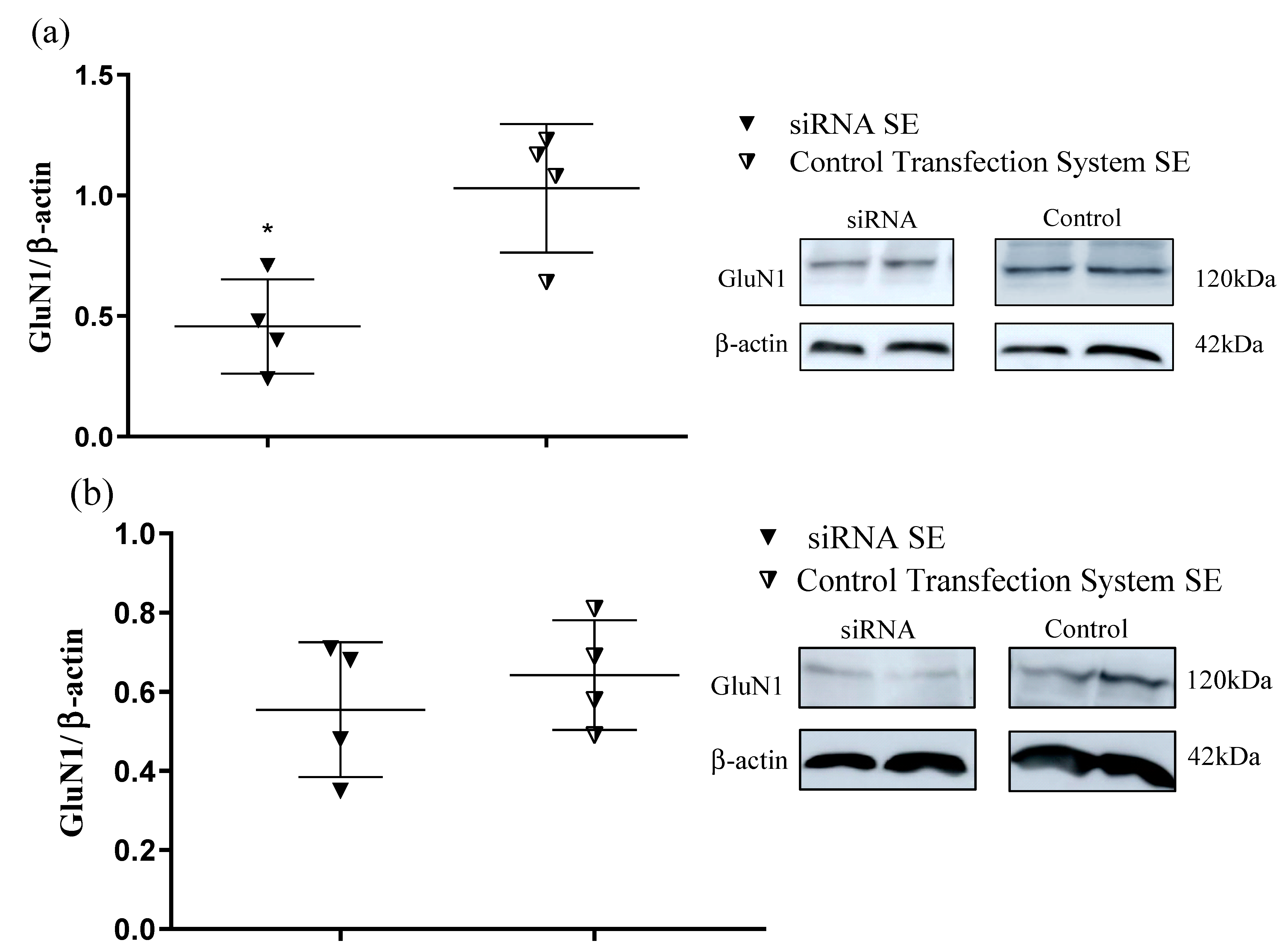 Pharmaceuticals 15 01470 g003