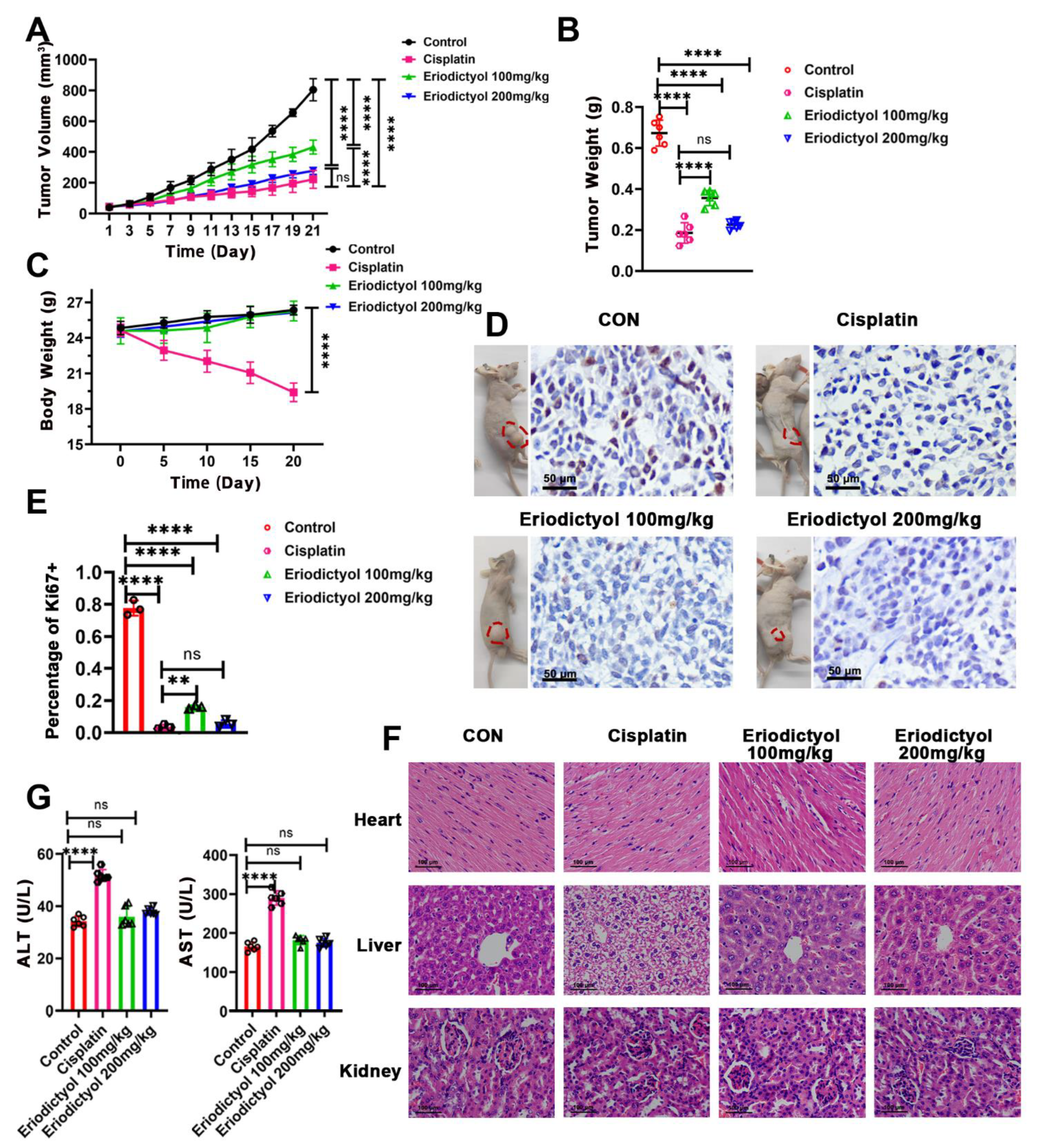 Pharmaceuticals 15 01477 g004 Pharmaceuticals 15 01477 g004