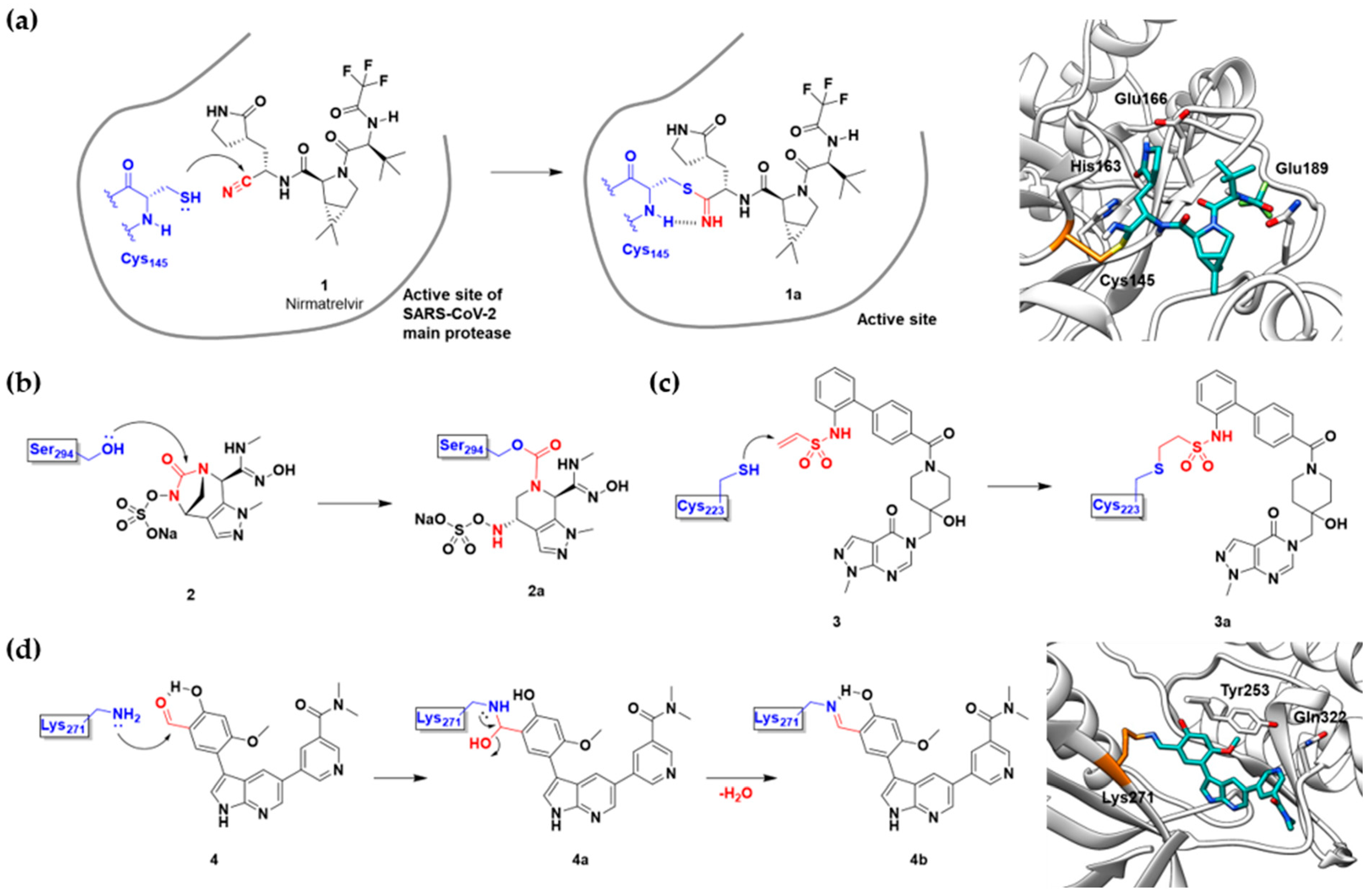 Pharmaceuticals 15 01478 g003