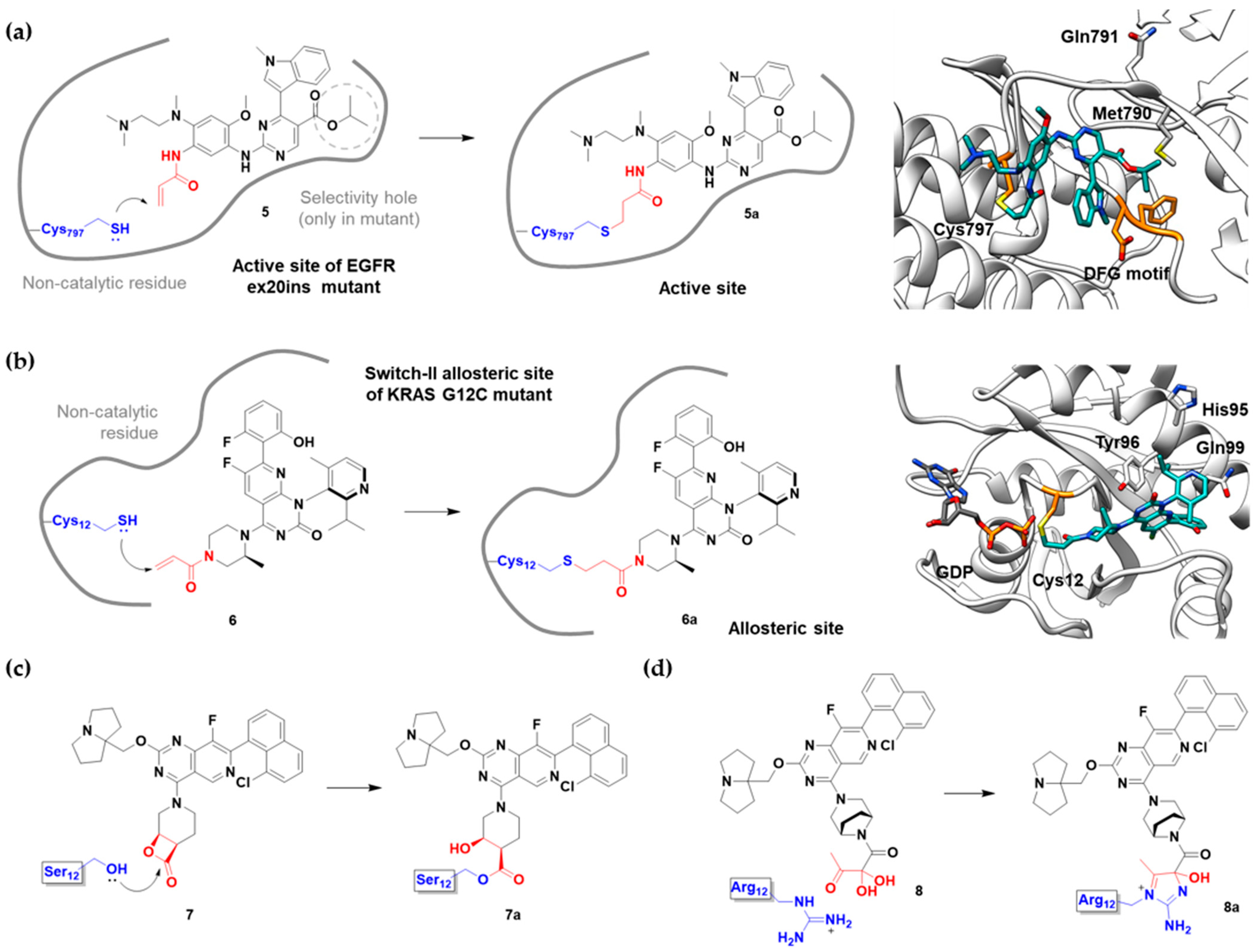 Pharmaceuticals 15 01478 g004