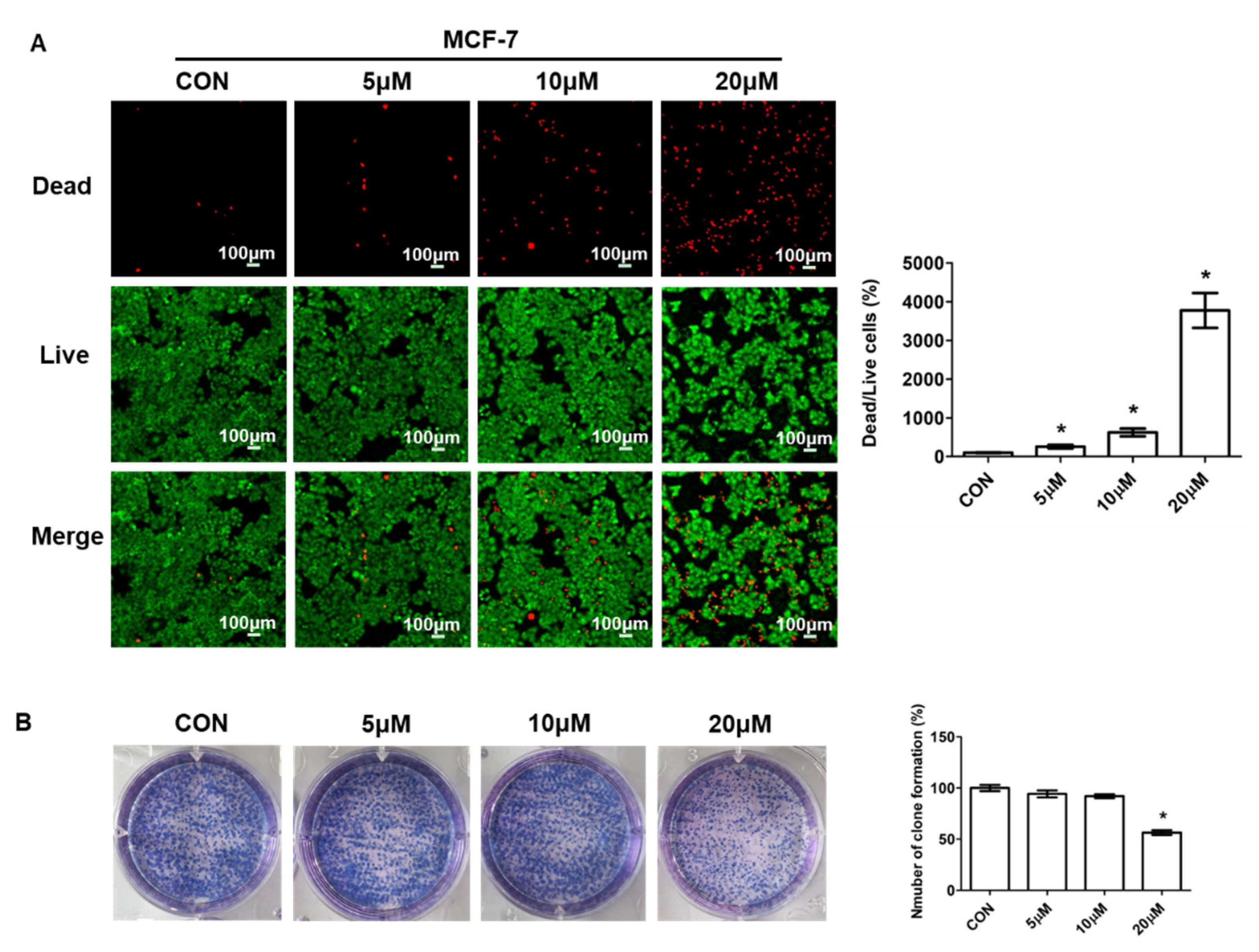 Pharmaceuticals 15 01479 g003 Pharmaceuticals 15 01479 g003