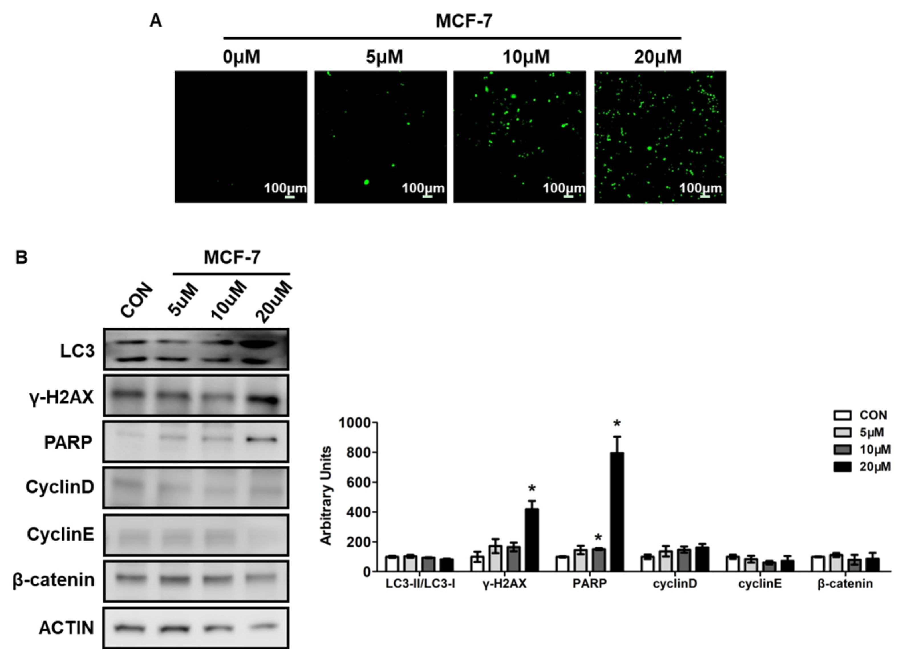 Pharmaceuticals 15 01479 g005 Pharmaceuticals 15 01479 g005