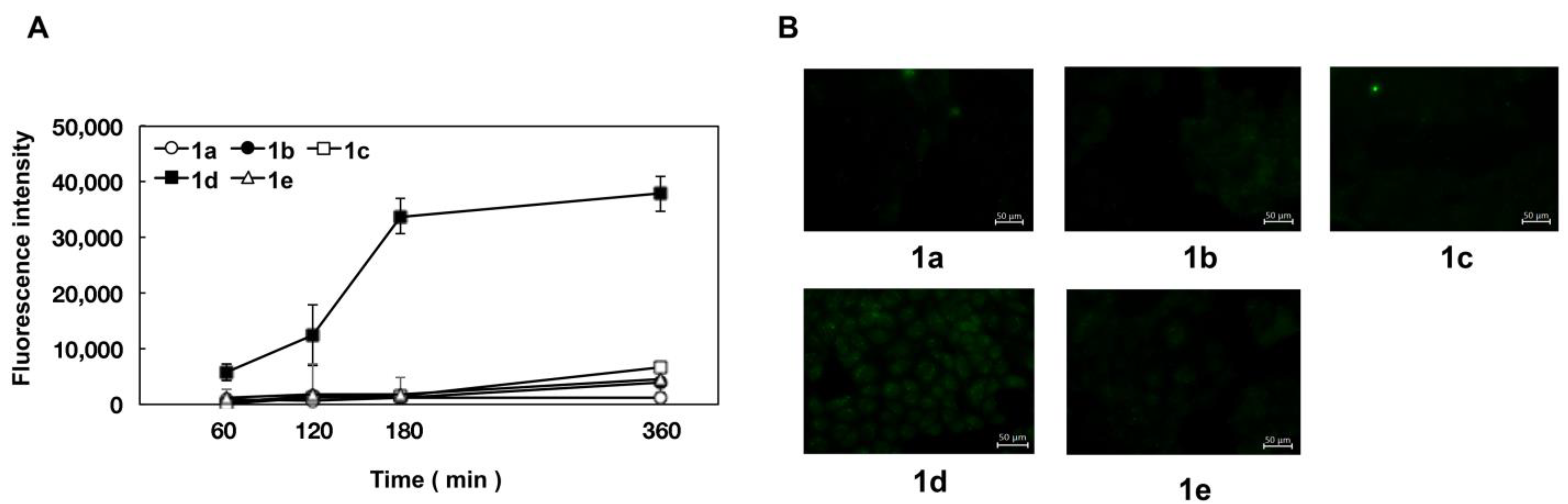 Pharmaceuticals 15 01480 g002