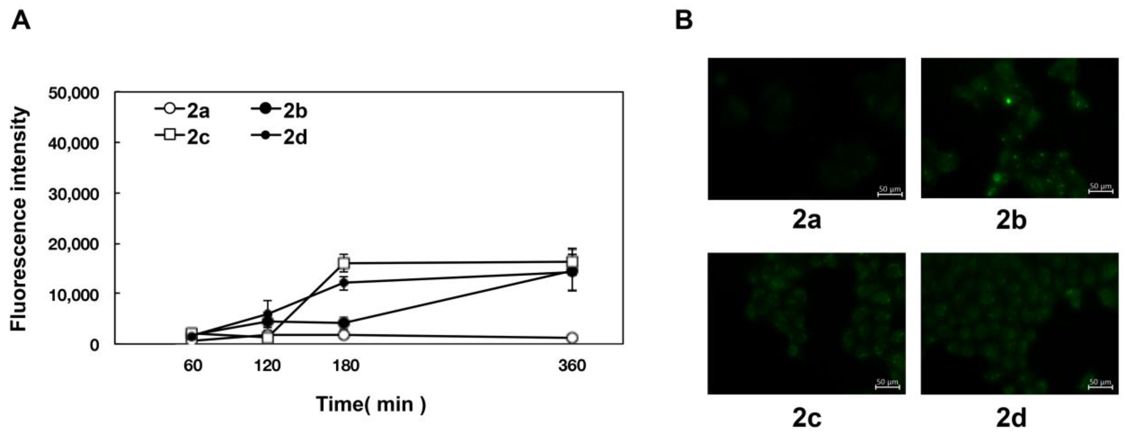 Pharmaceuticals 15 01480 g003