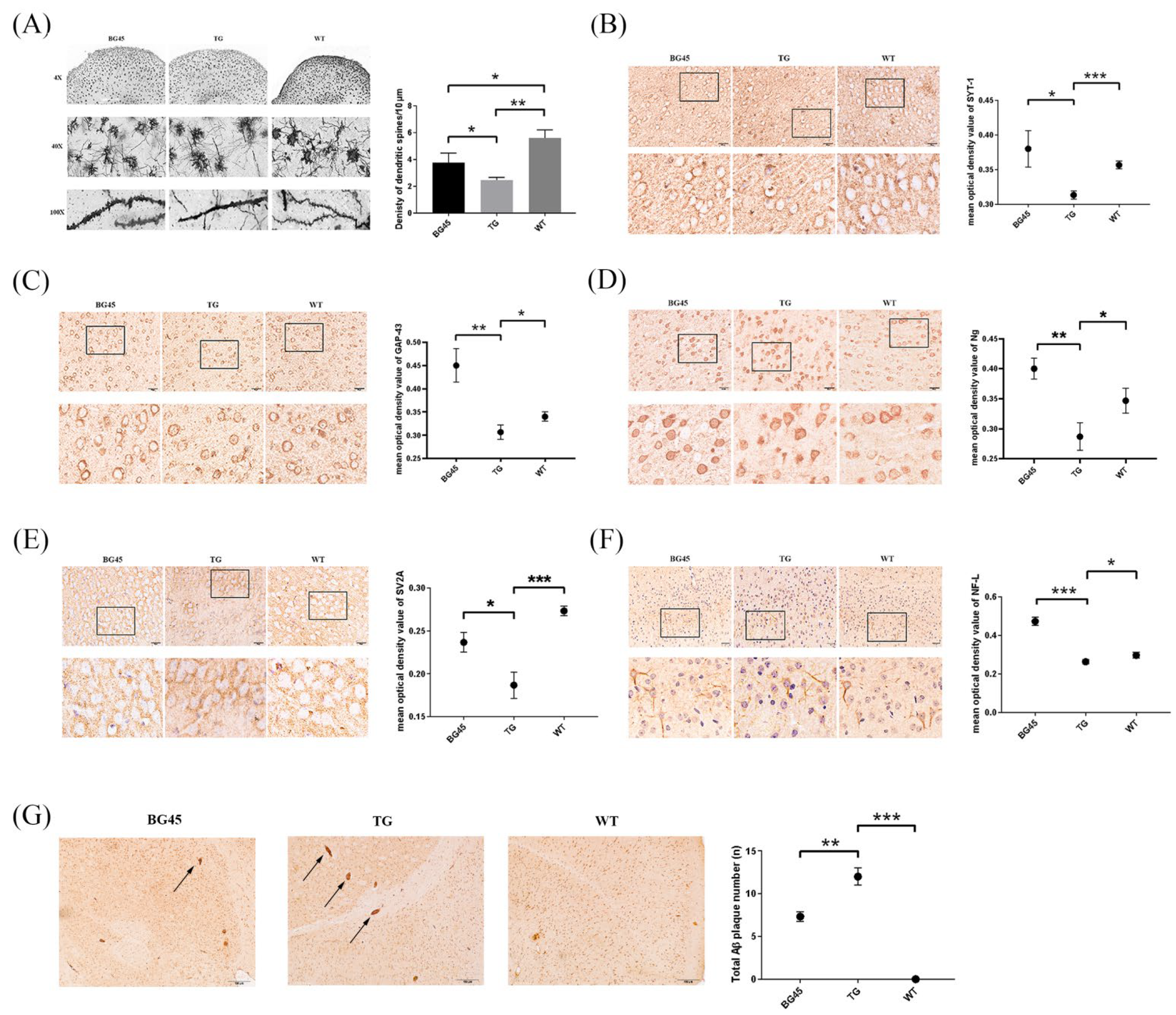 Pharmaceuticals 15 01481 g004 Pharmaceuticals 15 01481 g004