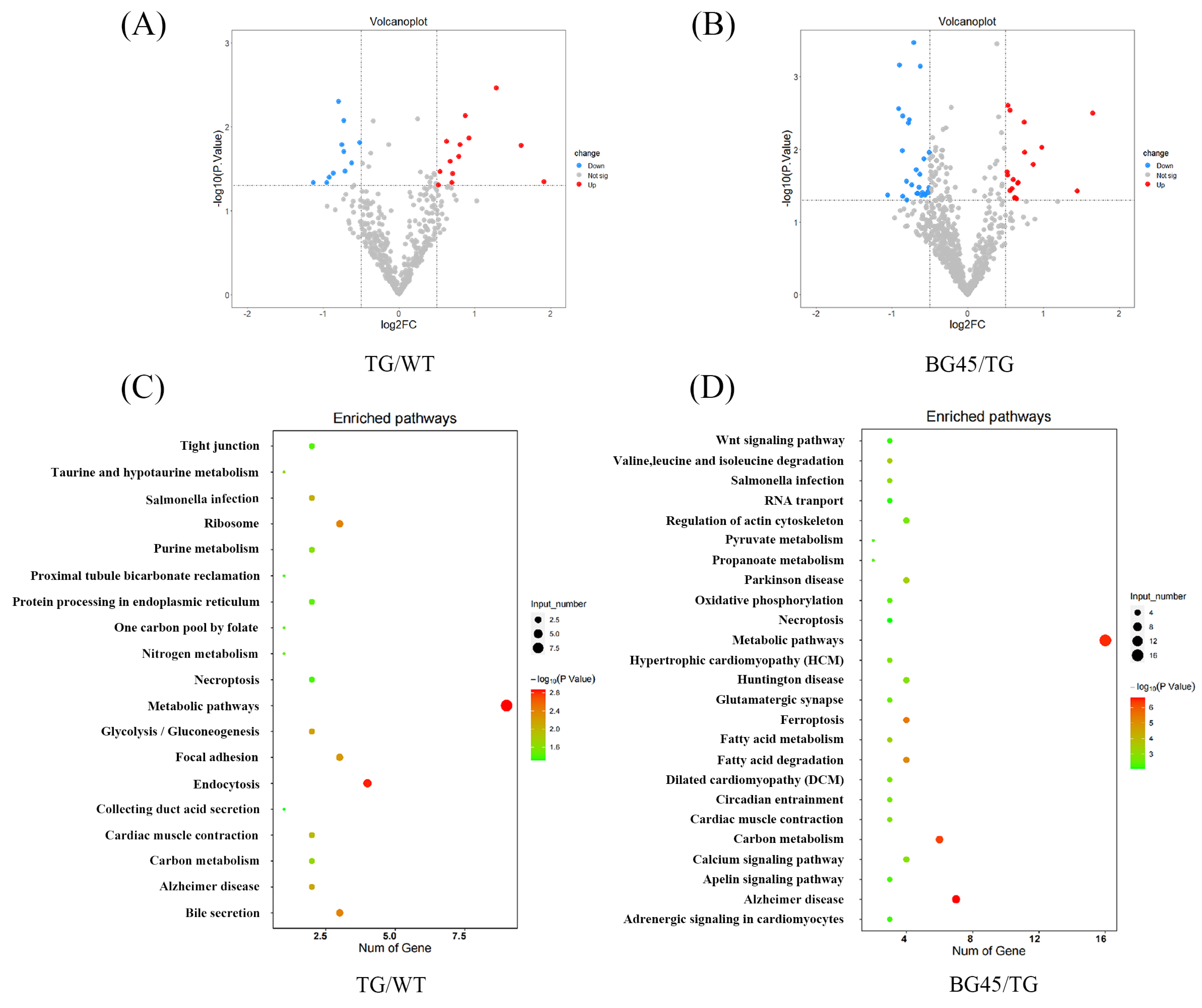 Pharmaceuticals 15 01481 g006 Pharmaceuticals 15 01481 g006