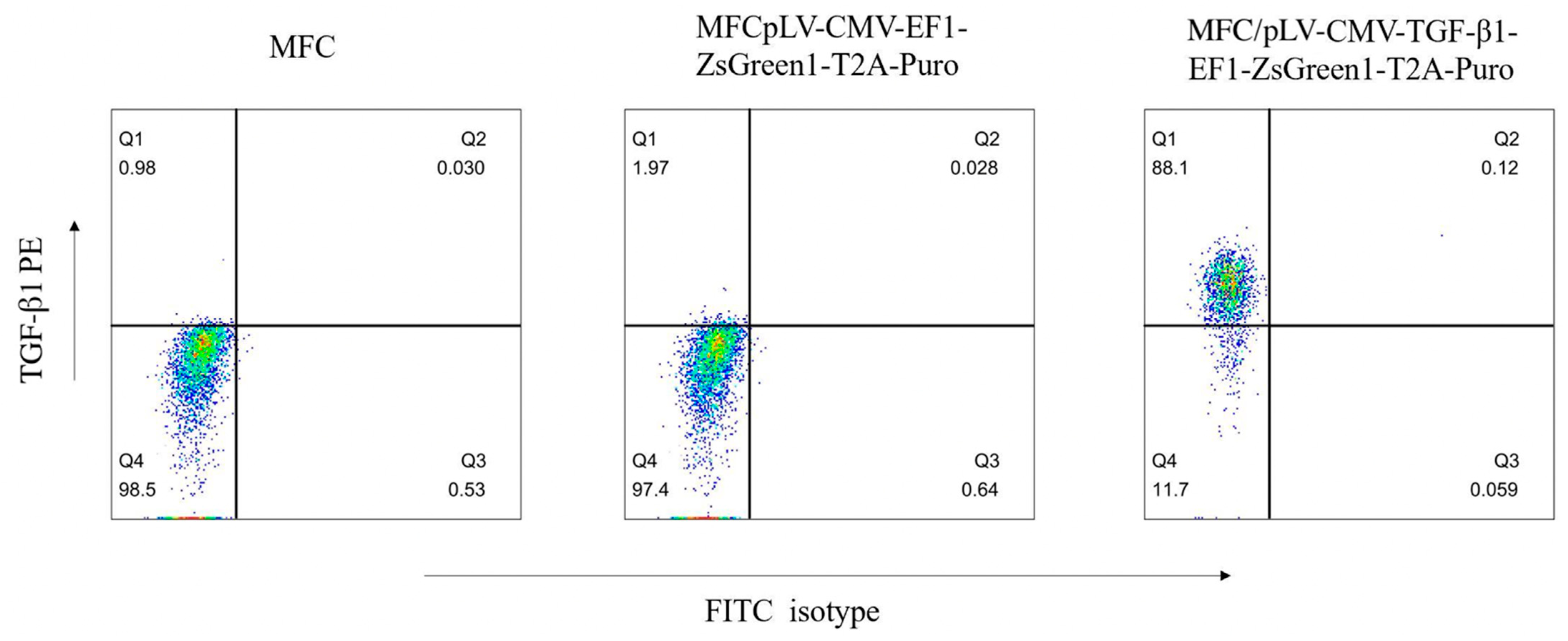 Pharmaceuticals 15 01487 g003 Pharmaceuticals 15 01487 g003
