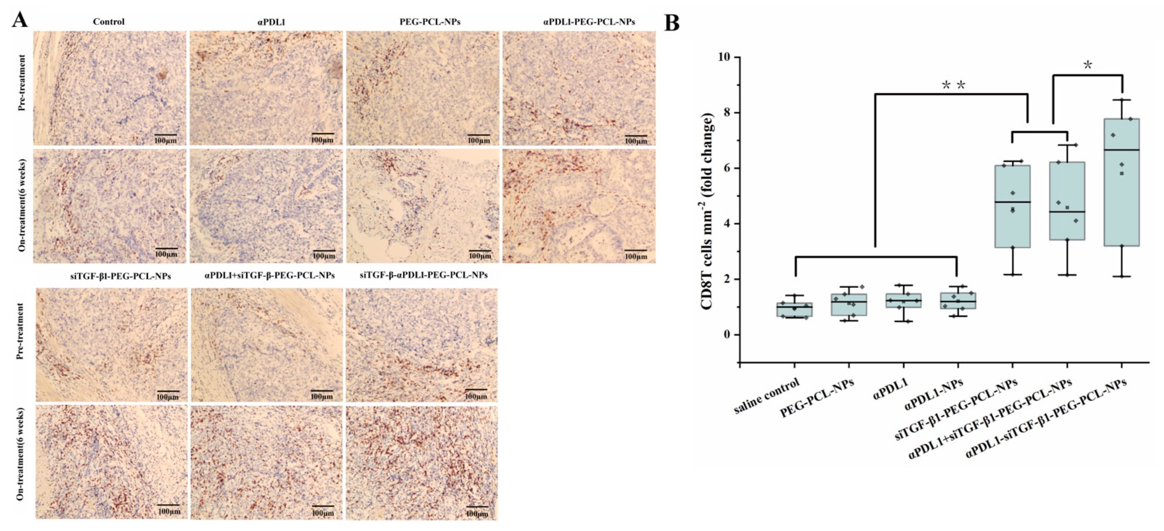 Pharmaceuticals 15 01487 g005 Pharmaceuticals 15 01487 g005