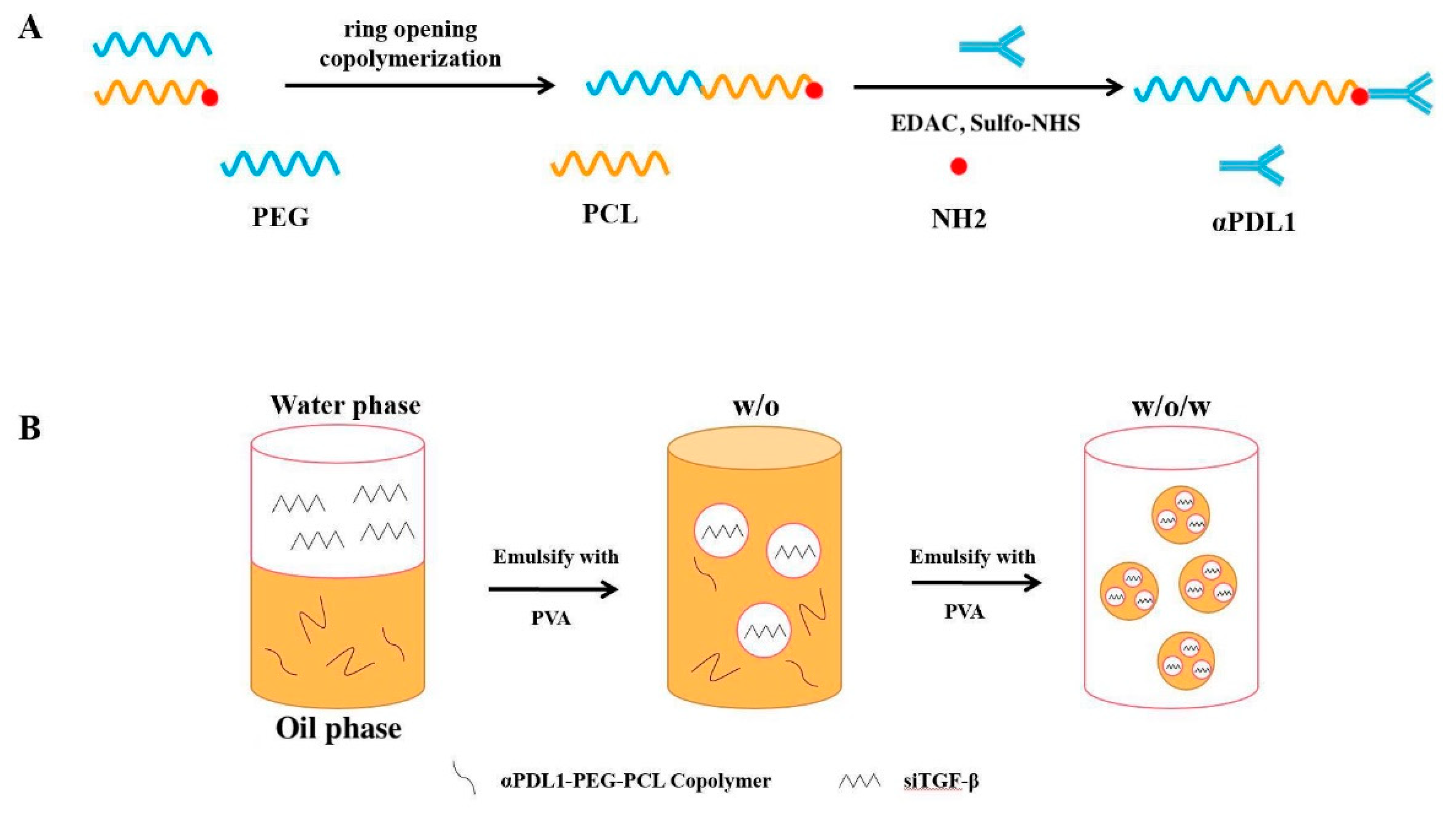 Pharmaceuticals 15 01487 g007 Pharmaceuticals 15 01487 g007