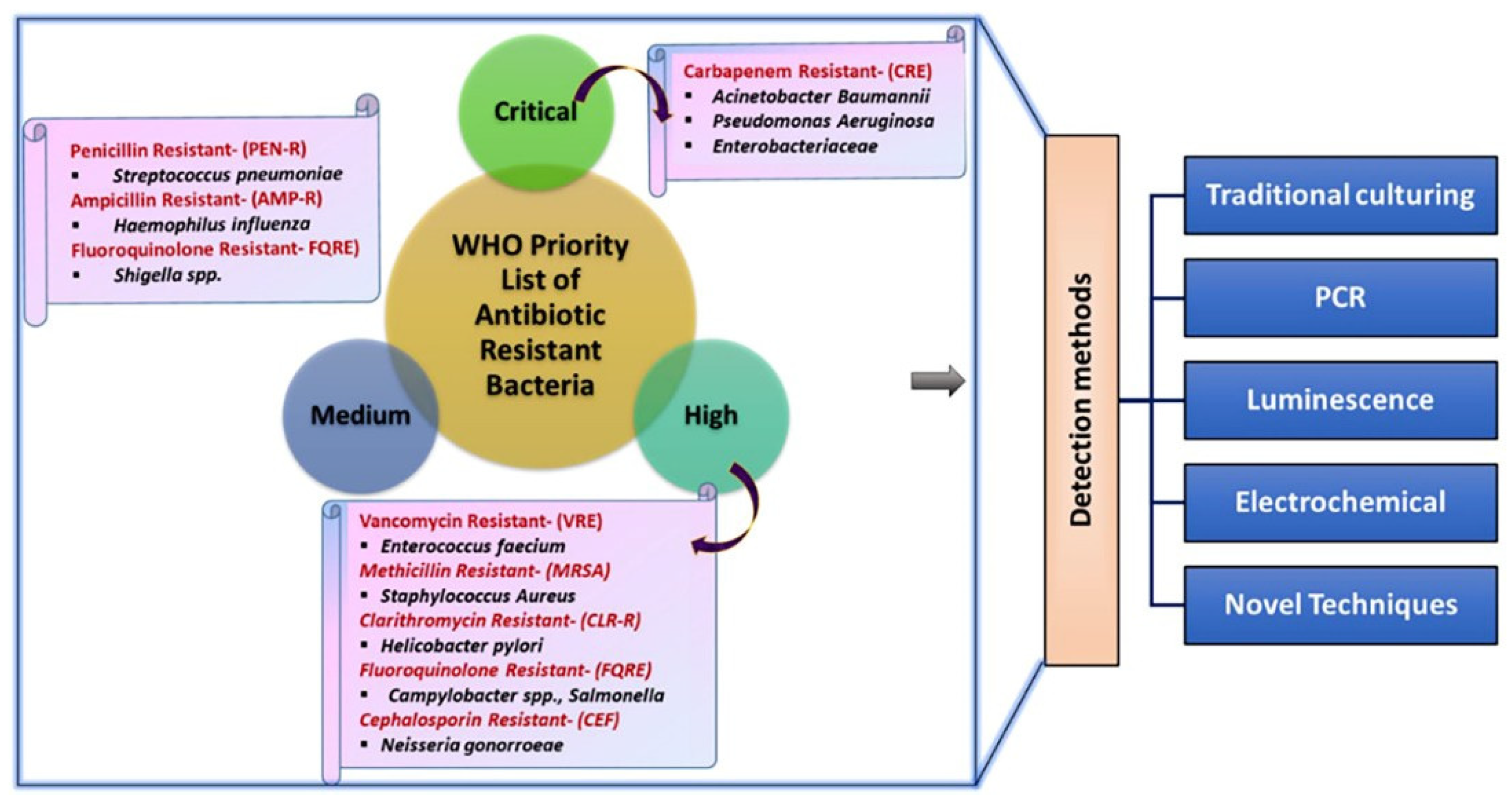 Pharmaceuticals 15 01488 g001 Pharmaceuticals 15 01488 g001