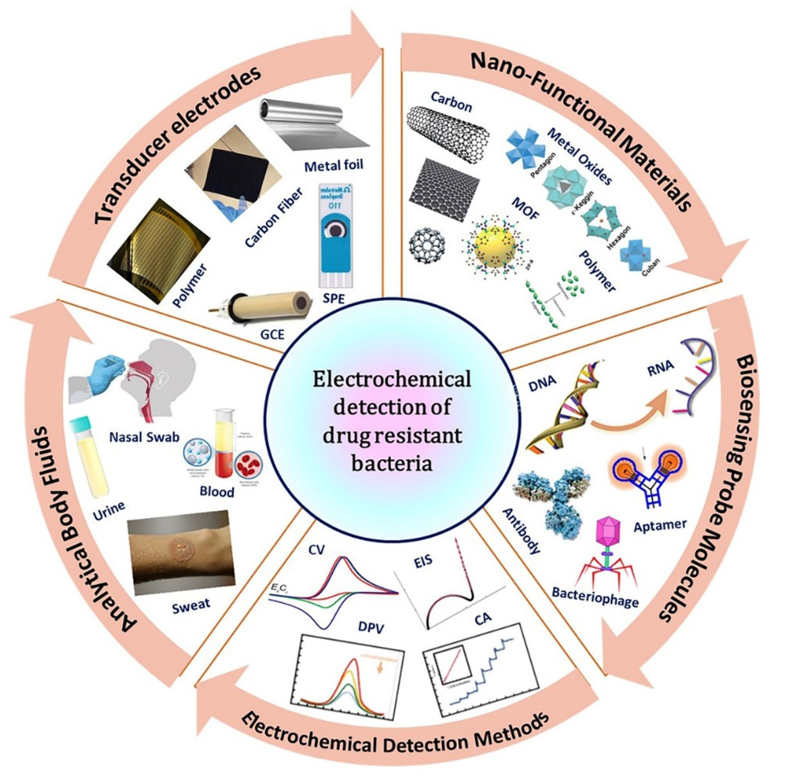 Pharmaceuticals 15 01488 g002 Pharmaceuticals 15 01488 g002