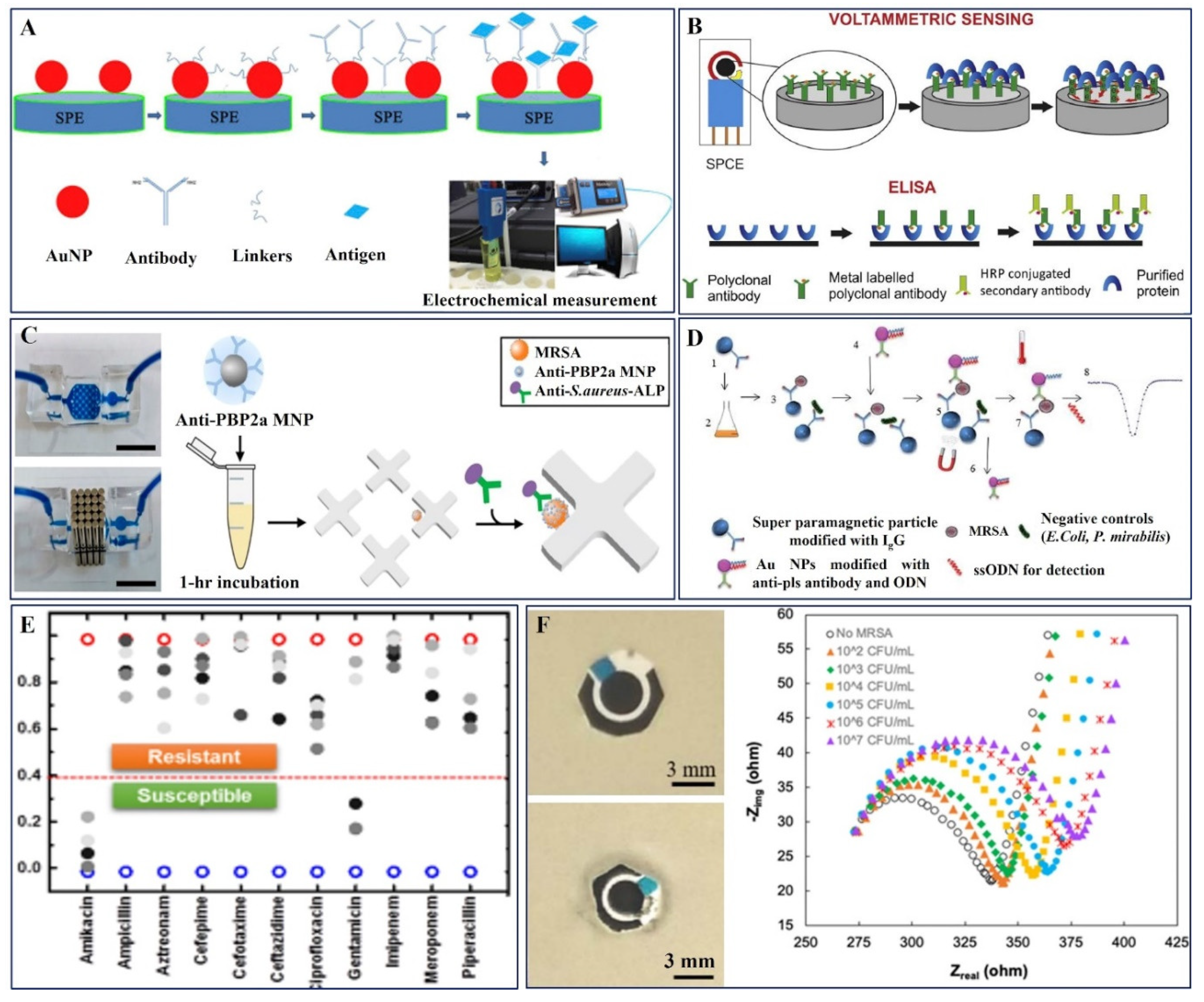 Pharmaceuticals 15 01488 g004 Pharmaceuticals 15 01488 g004