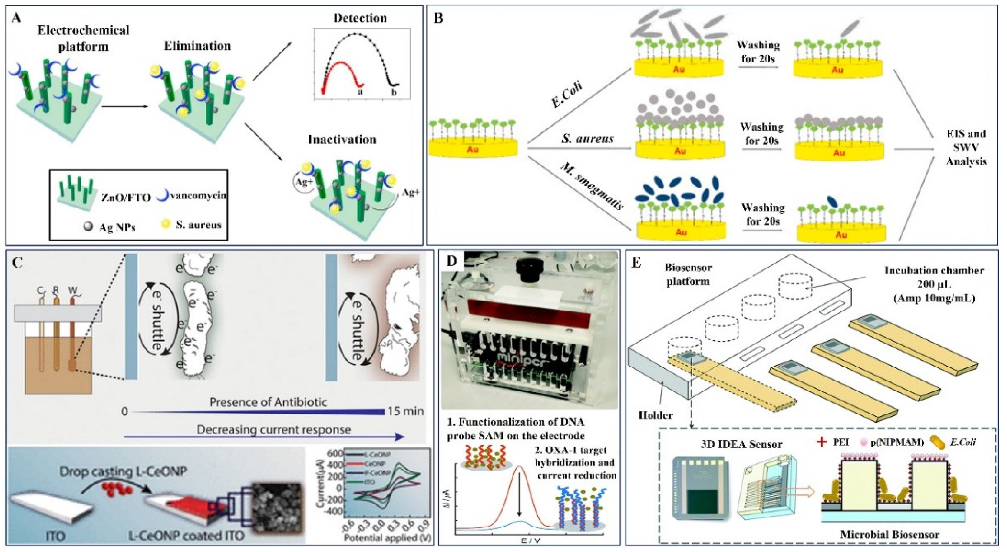 Pharmaceuticals 15 01488 g005 Pharmaceuticals 15 01488 g005