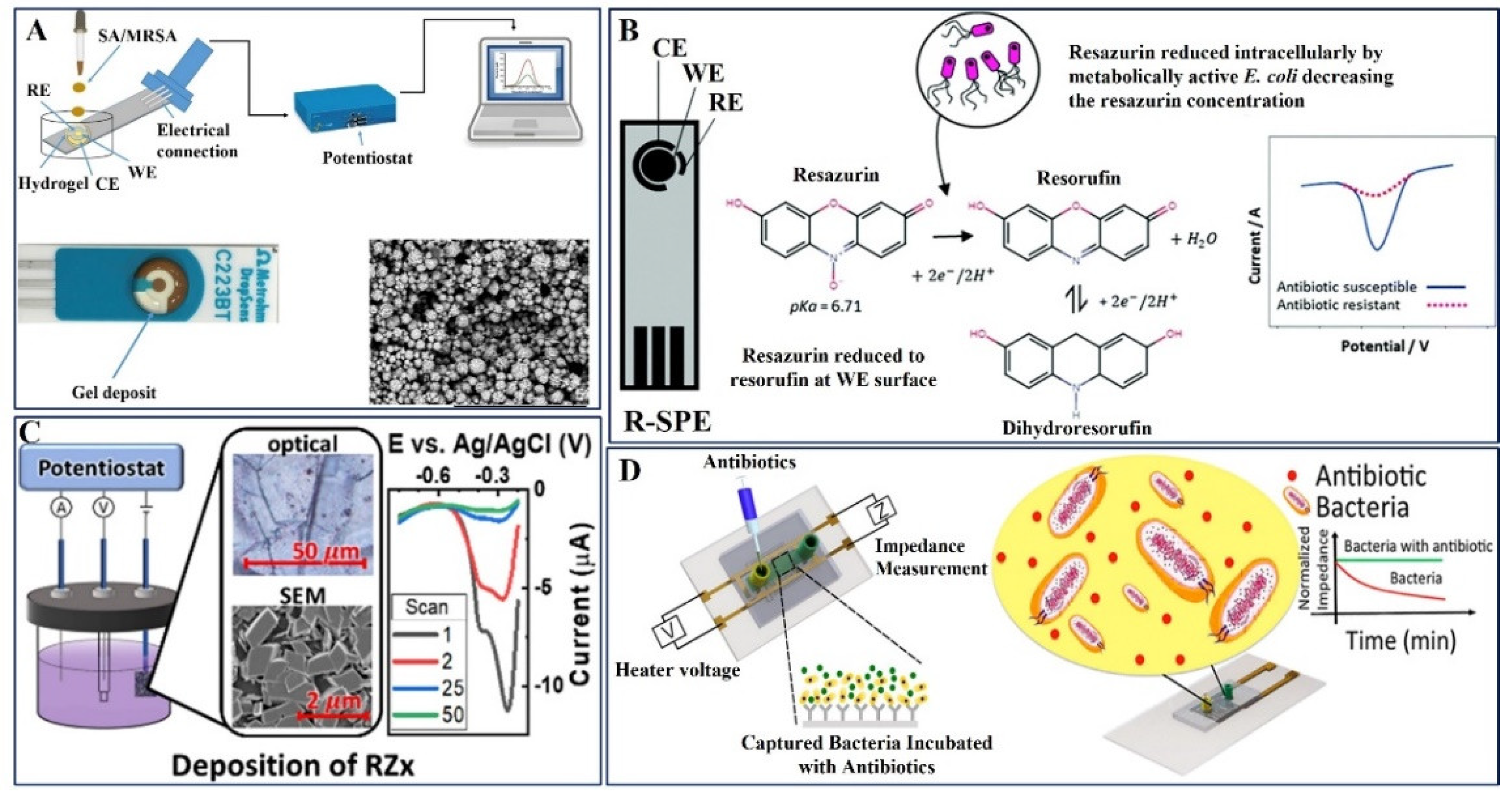 Pharmaceuticals 15 01488 g006 Pharmaceuticals 15 01488 g006