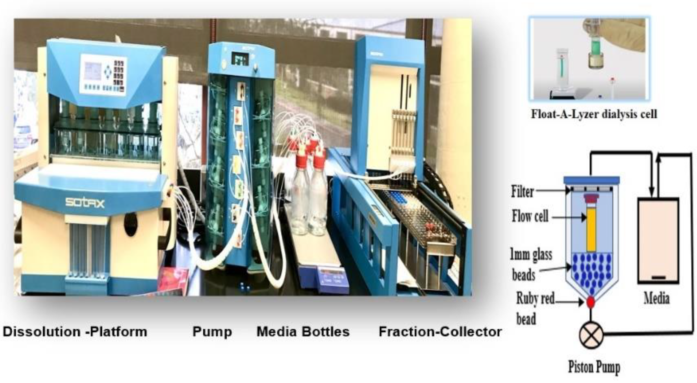 Pharmaceuticals 15 01489 g002