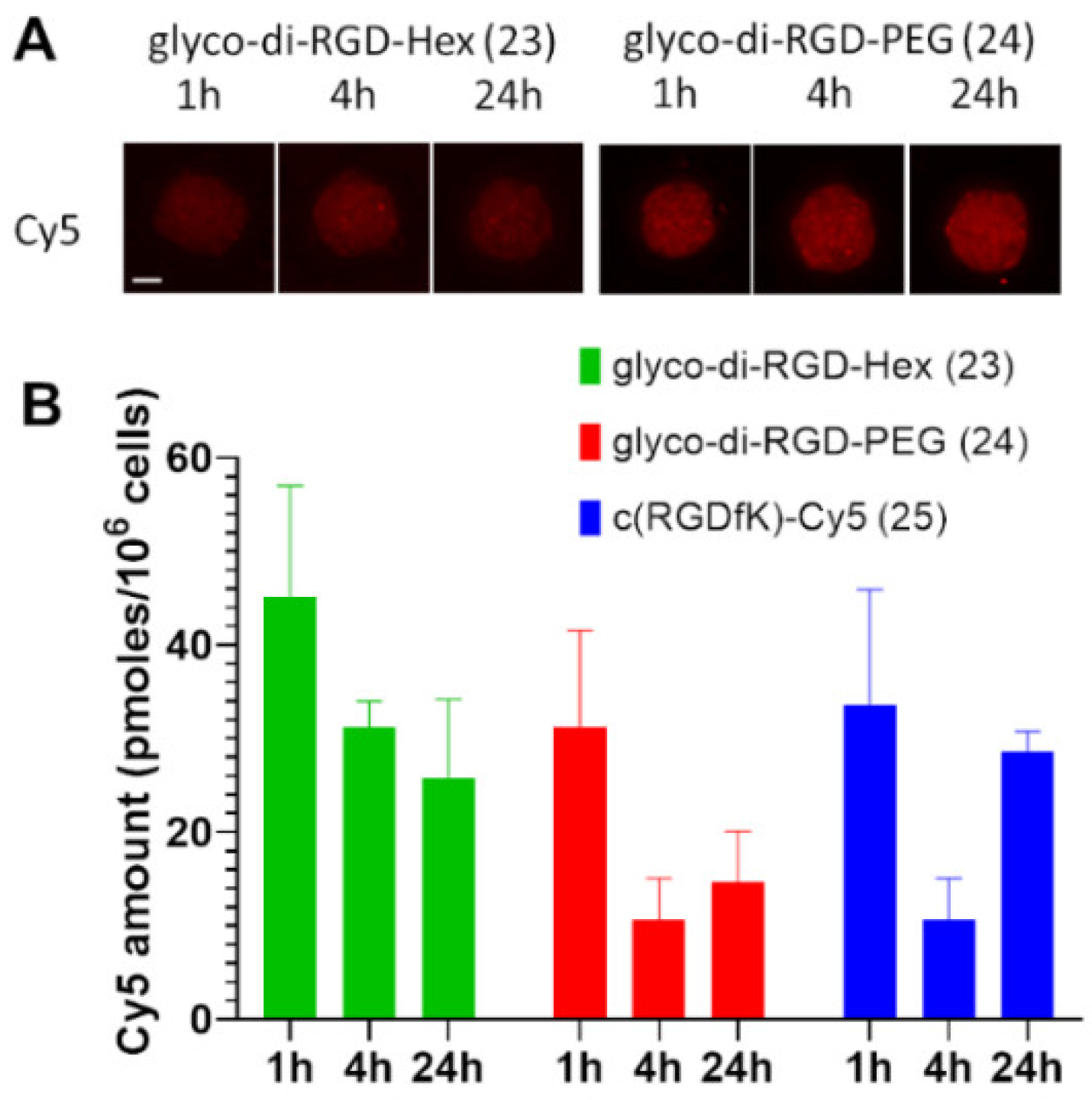 Pharmaceuticals 15 01490 g003