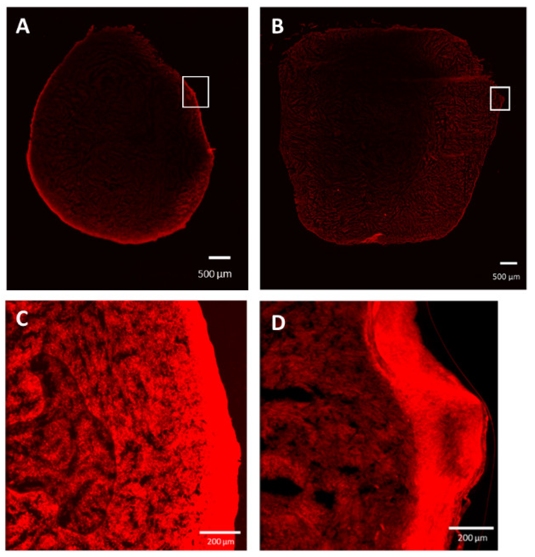 Pharmaceuticals 15 01490 g005