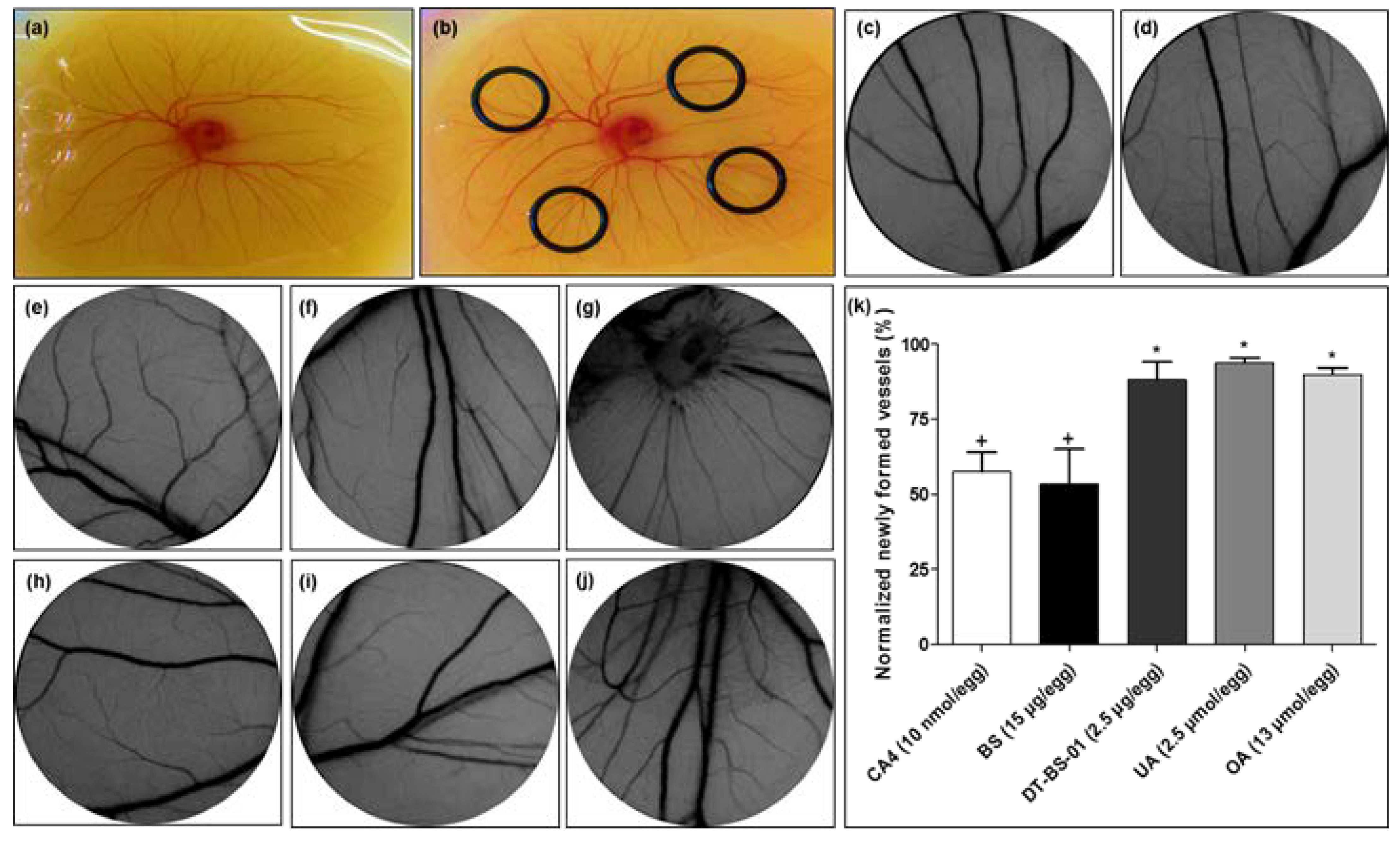 Pharmaceuticals 15 01497 g008 Pharmaceuticals 15 01497 g008