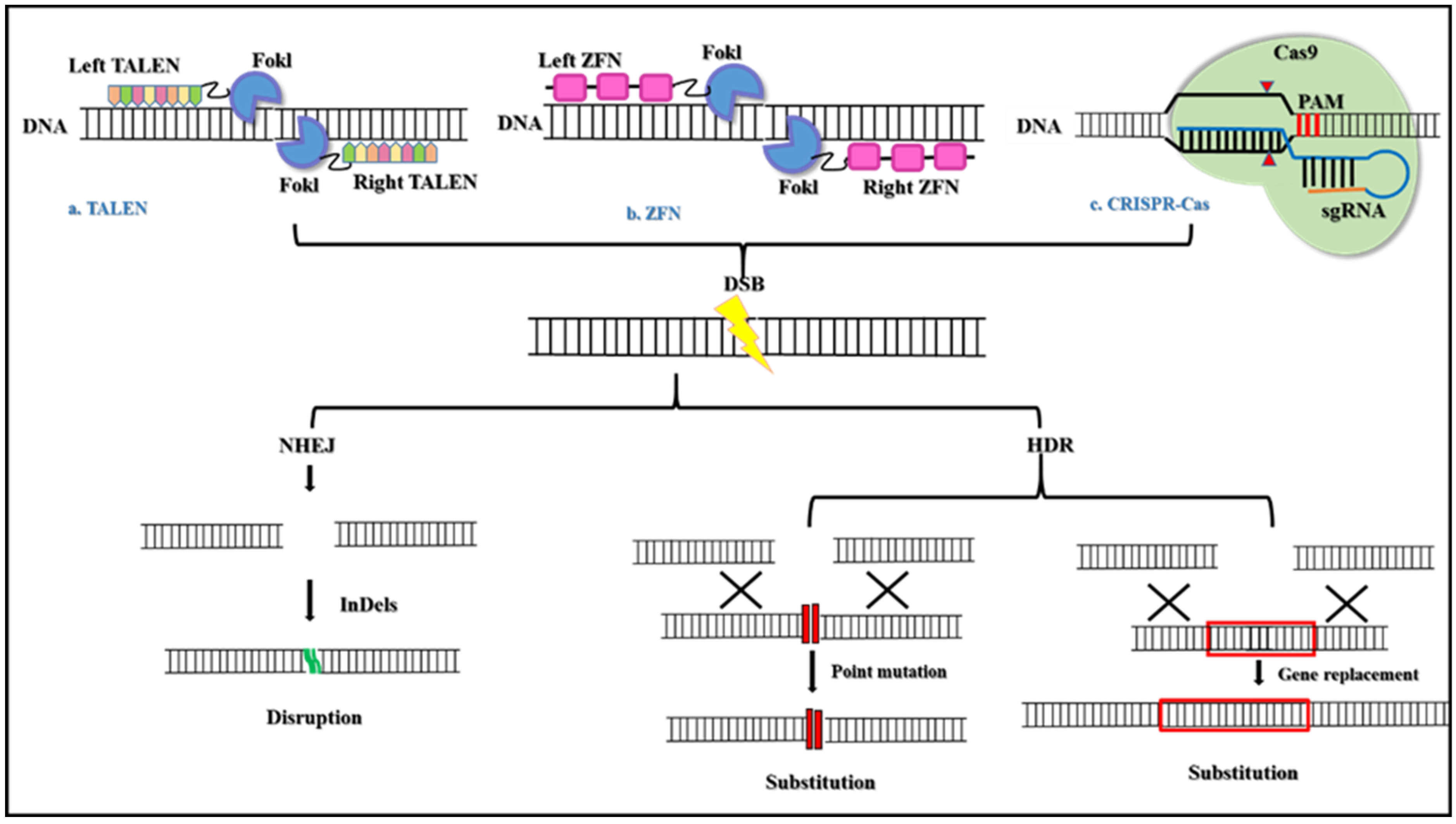 https://www.mdpi.com/pharmaceuticals/pharmaceuticals-15-01498/article_deploy/html/images/pharmaceuticals-15-01498-g001.png