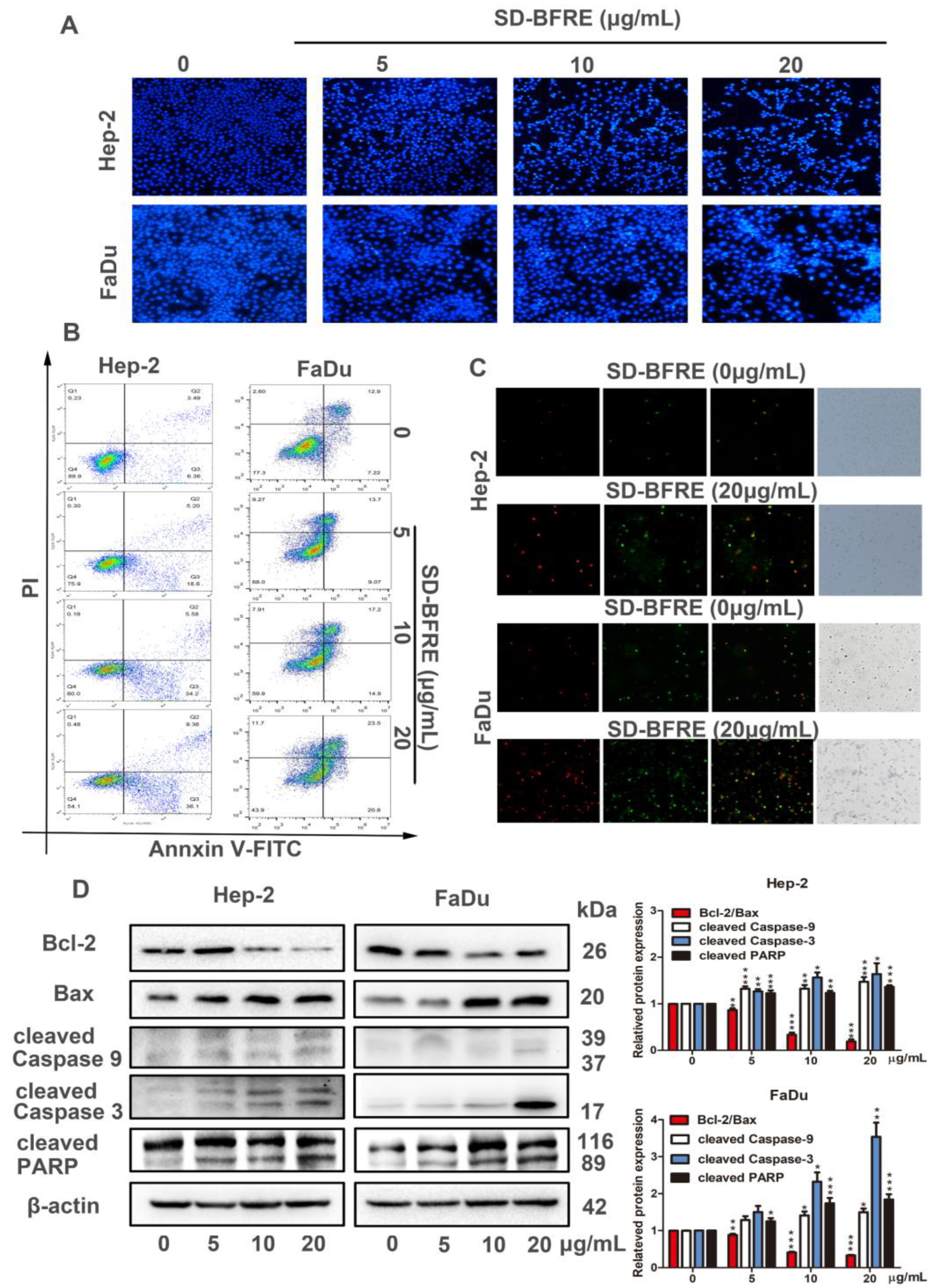 Pharmaceuticals 15 01505 g004