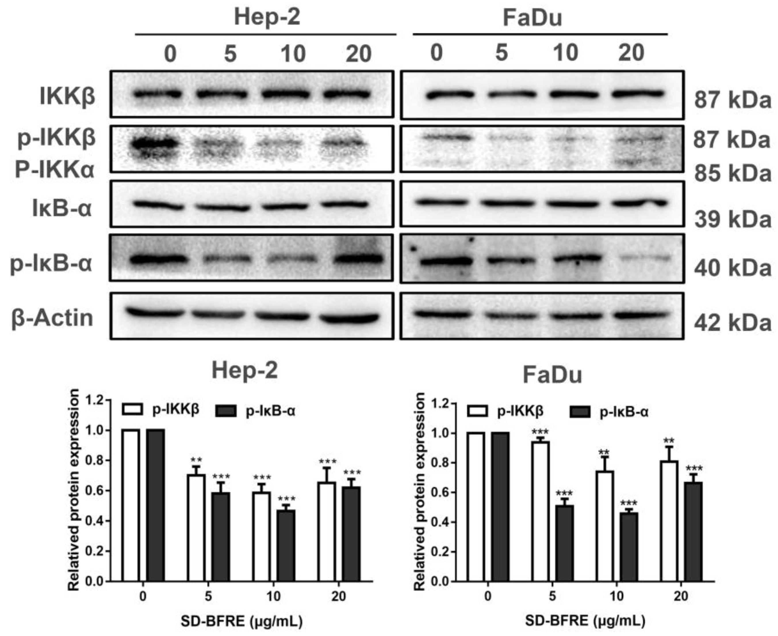 Pharmaceuticals 15 01505 g007