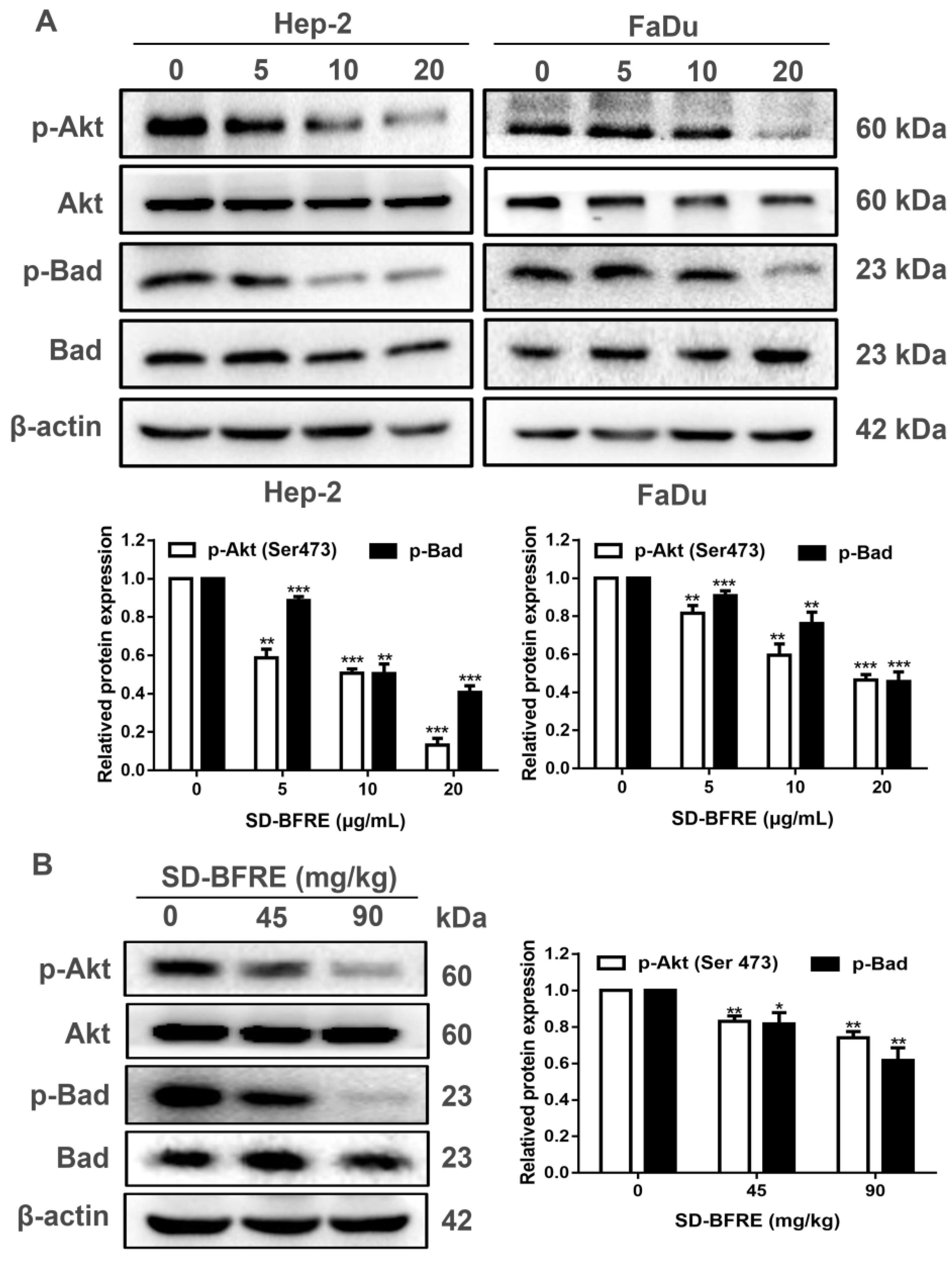 Pharmaceuticals 15 01505 g008