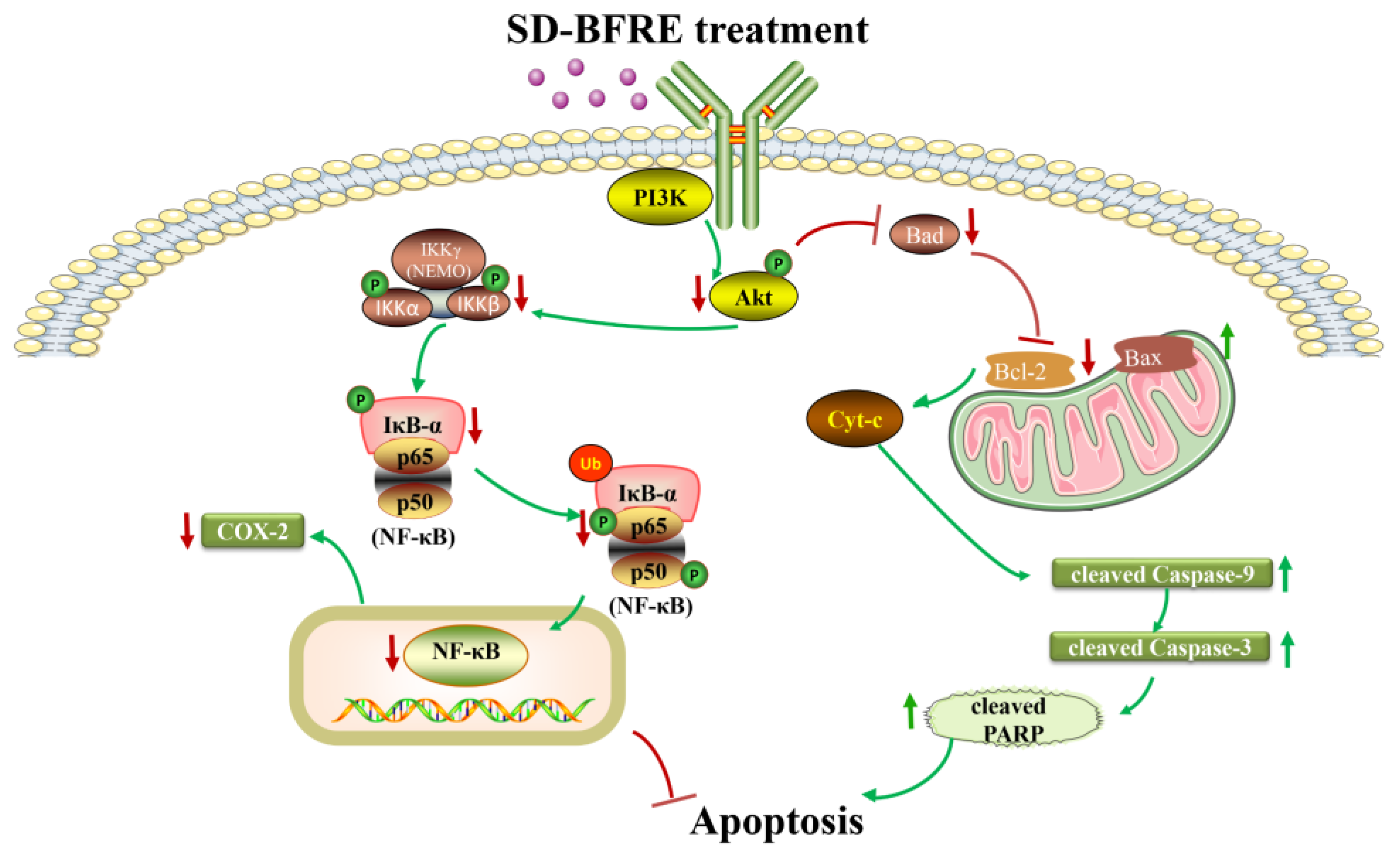 Pharmaceuticals 15 01505 g009