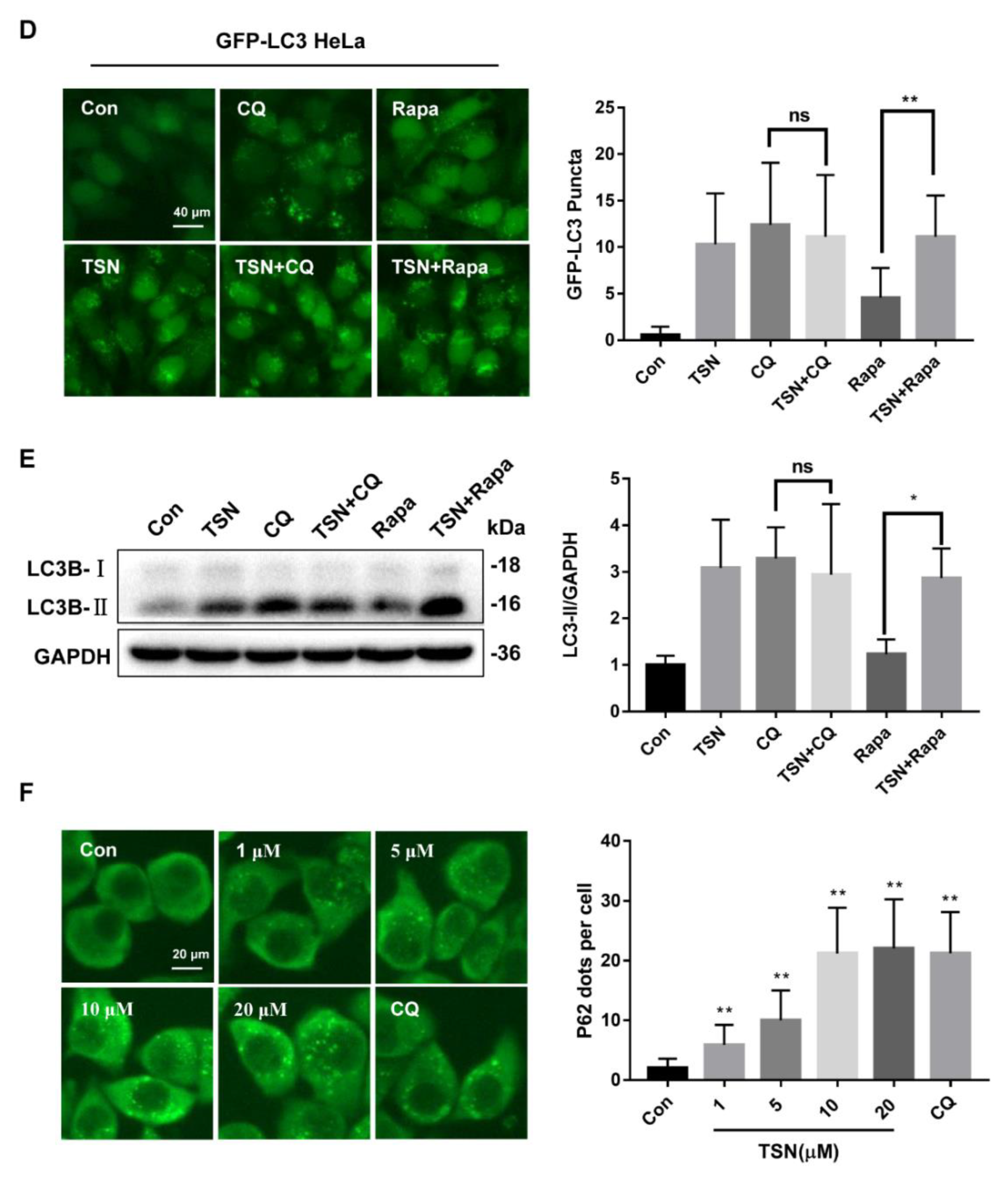 Pharmaceuticals 15 01509 g002b Pharmaceuticals 15 01509 g002b