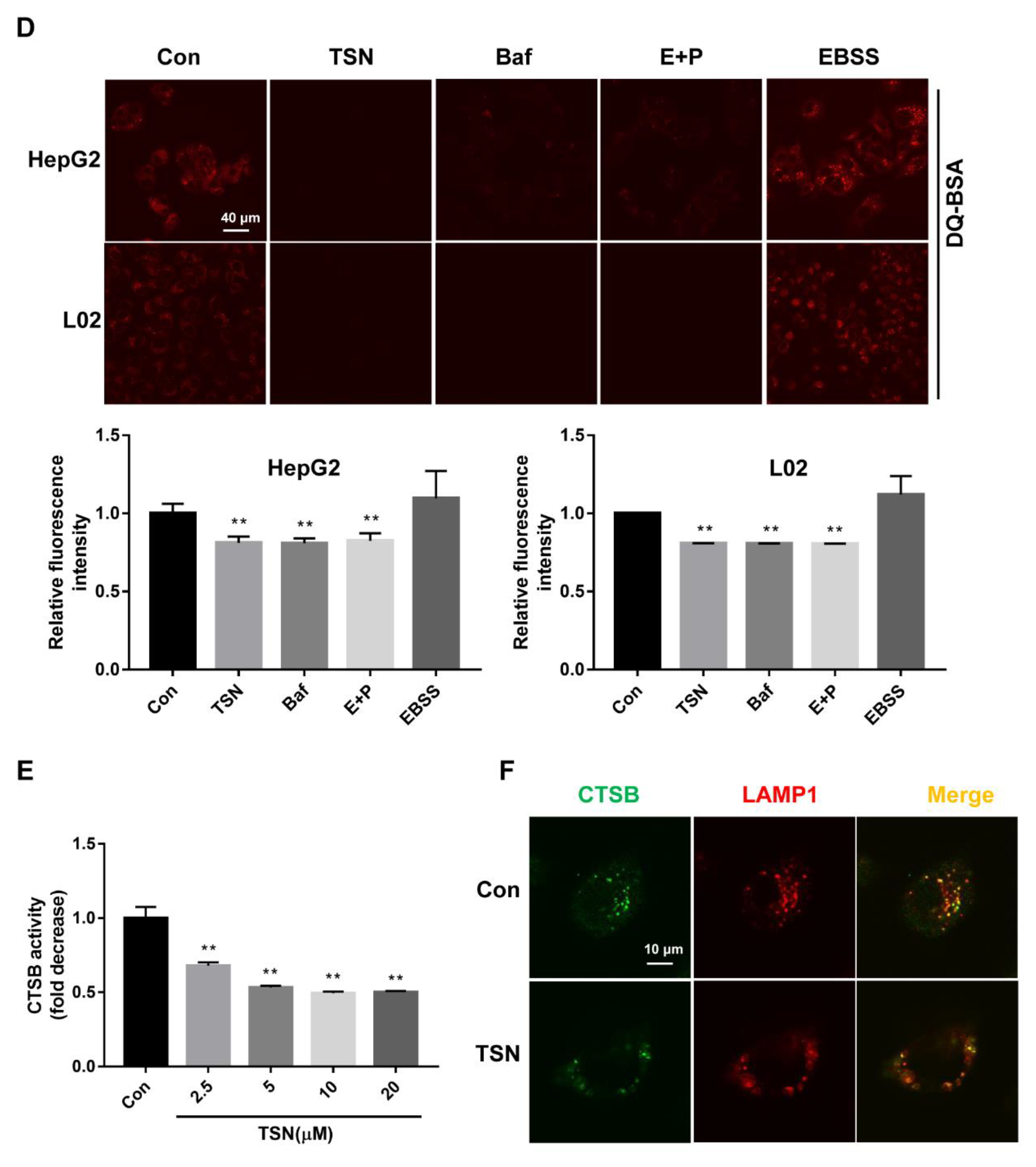 Pharmaceuticals 15 01509 g004b Pharmaceuticals 15 01509 g004b