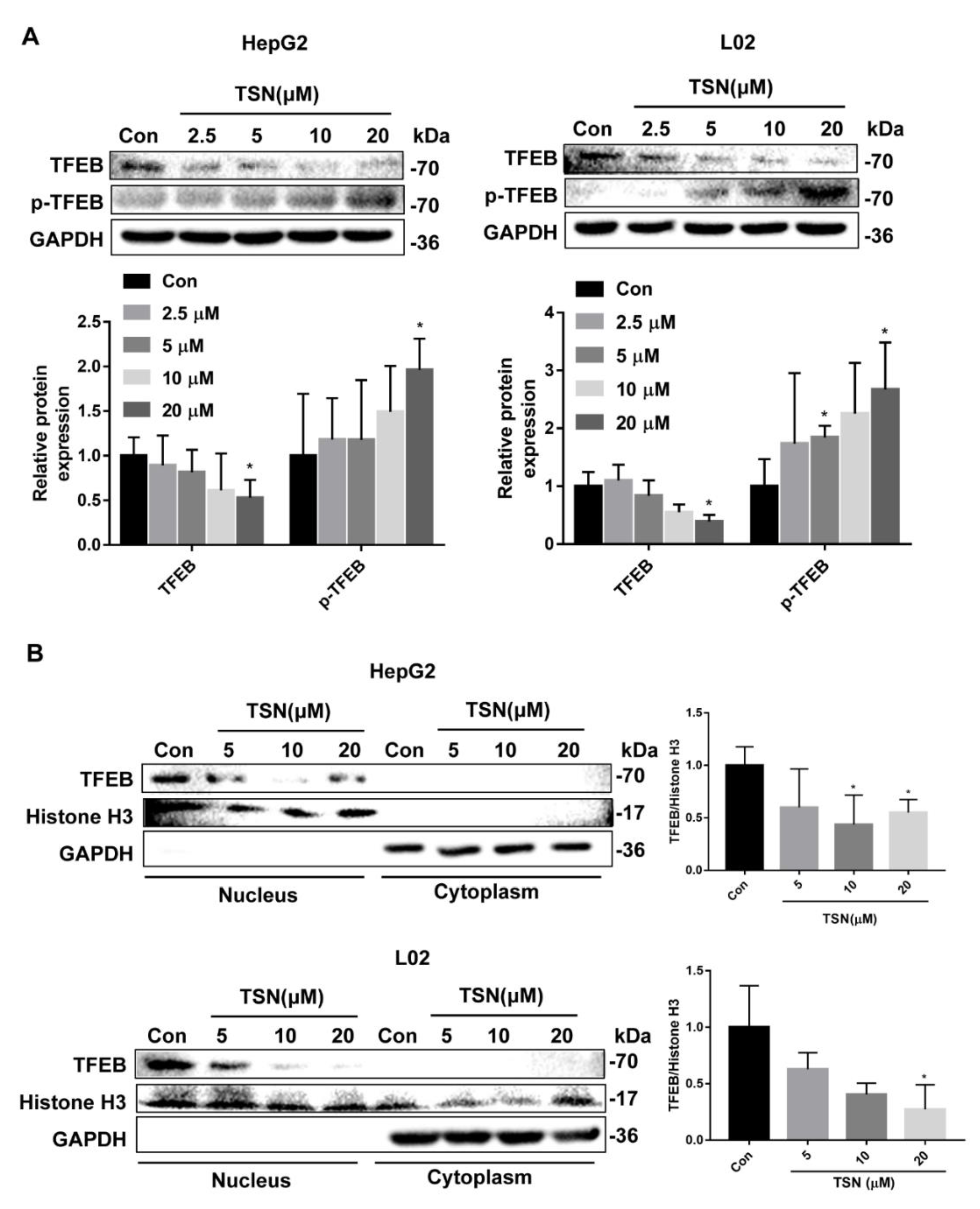Pharmaceuticals 15 01509 g005a Pharmaceuticals 15 01509 g005a