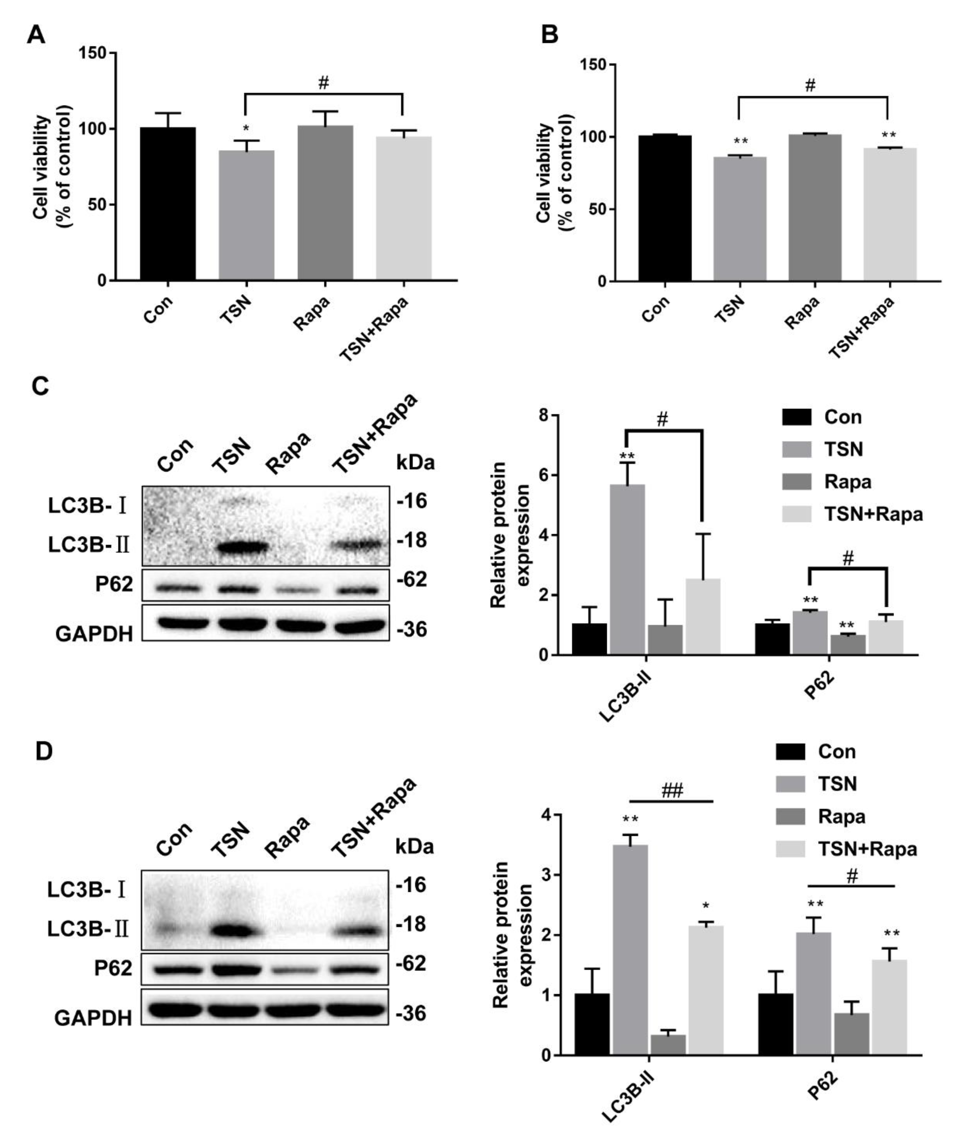 Pharmaceuticals 15 01509 g006 Pharmaceuticals 15 01509 g006