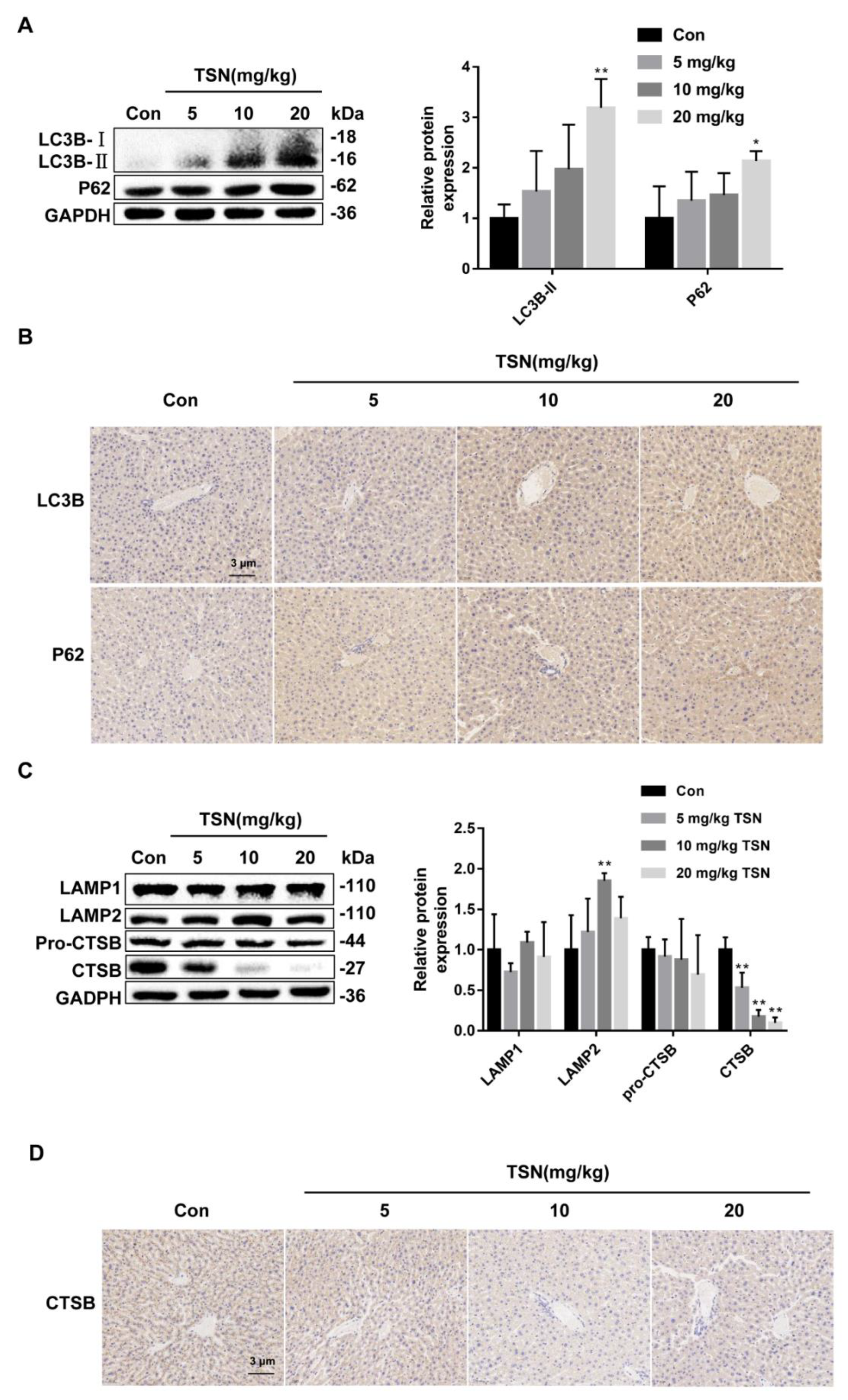 Pharmaceuticals 15 01509 g008a Pharmaceuticals 15 01509 g008a