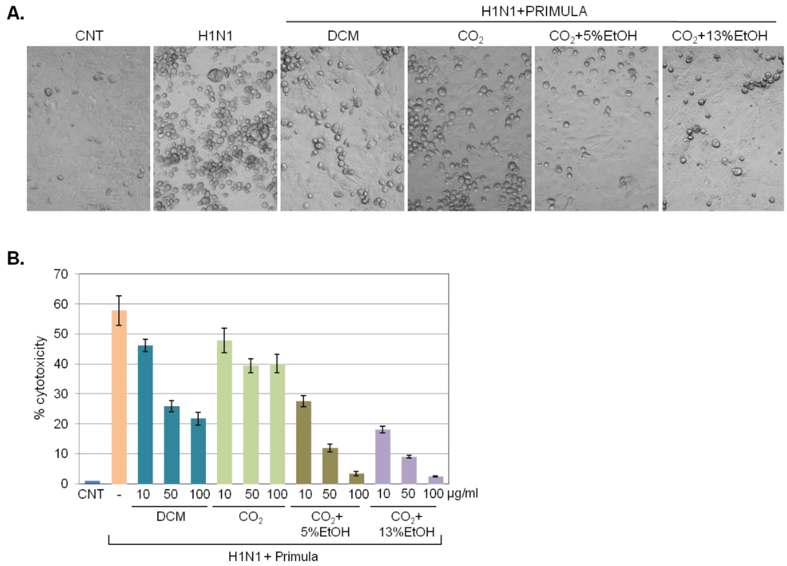 Pharmaceuticals 15 01513 g003