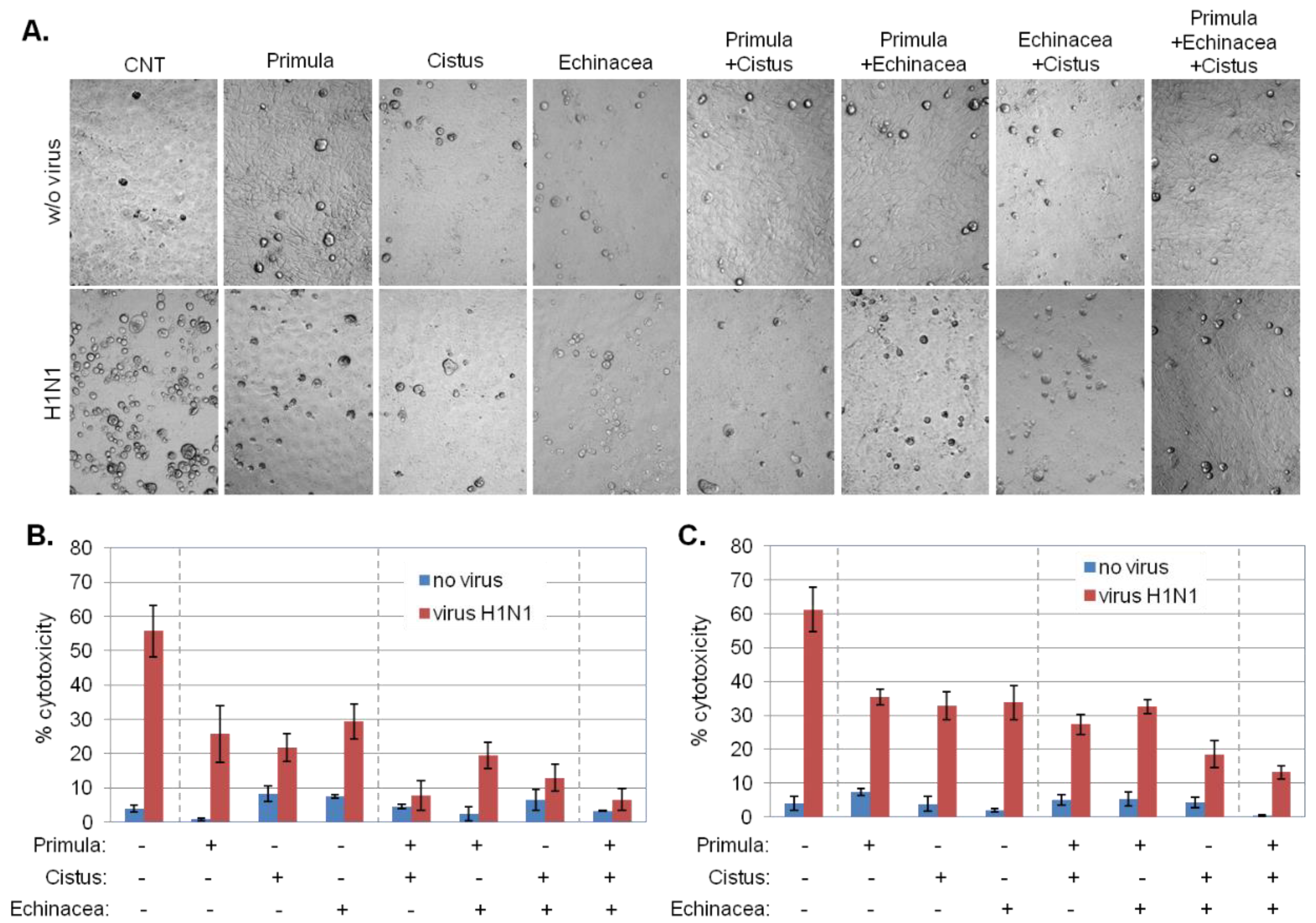 Pharmaceuticals 15 01513 g005