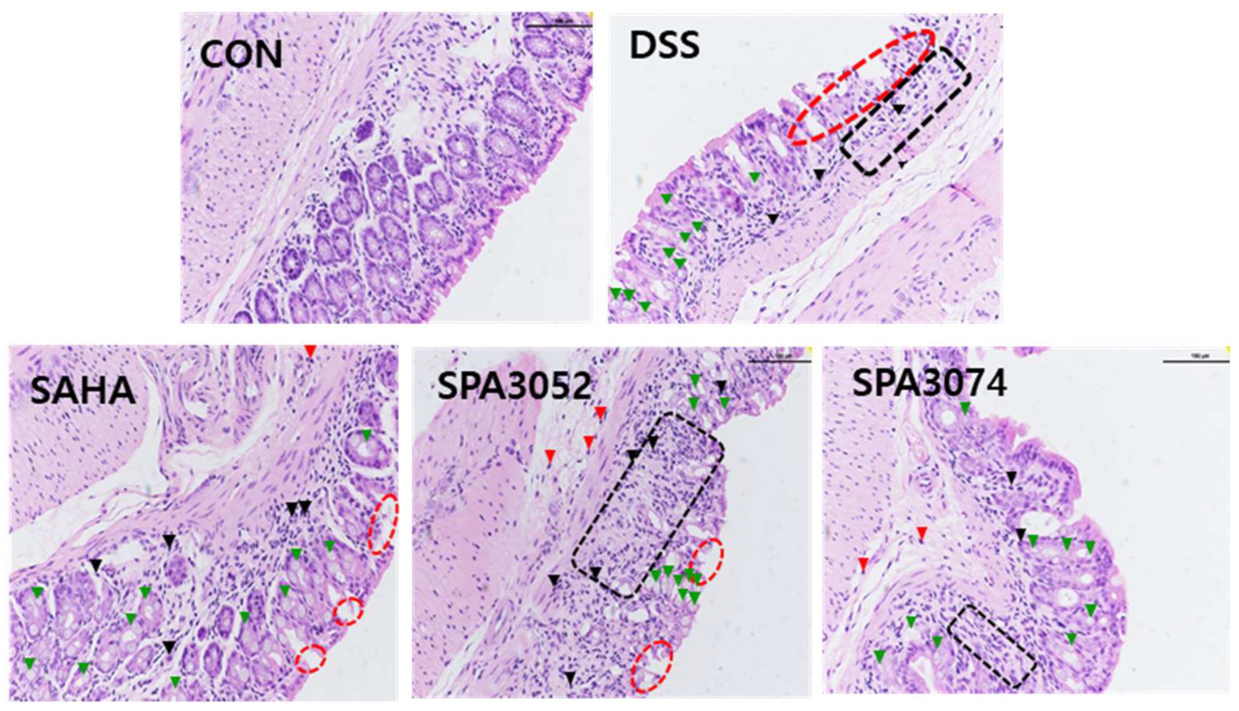 Pharmaceuticals 15 01515 g002 Pharmaceuticals 15 01515 g002