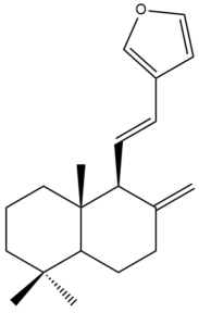 Pharmaceuticals 15 01517 i030