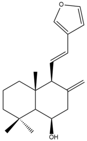 Pharmaceuticals 15 01517 i037