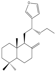 Pharmaceuticals 15 01517 i062